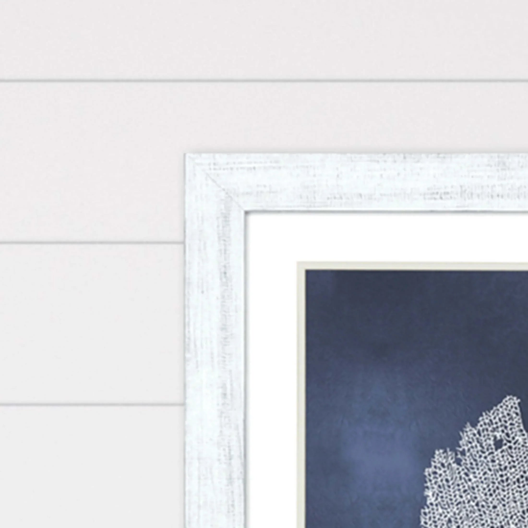 Sea Fan on Blue Wood Frame Canvas Art