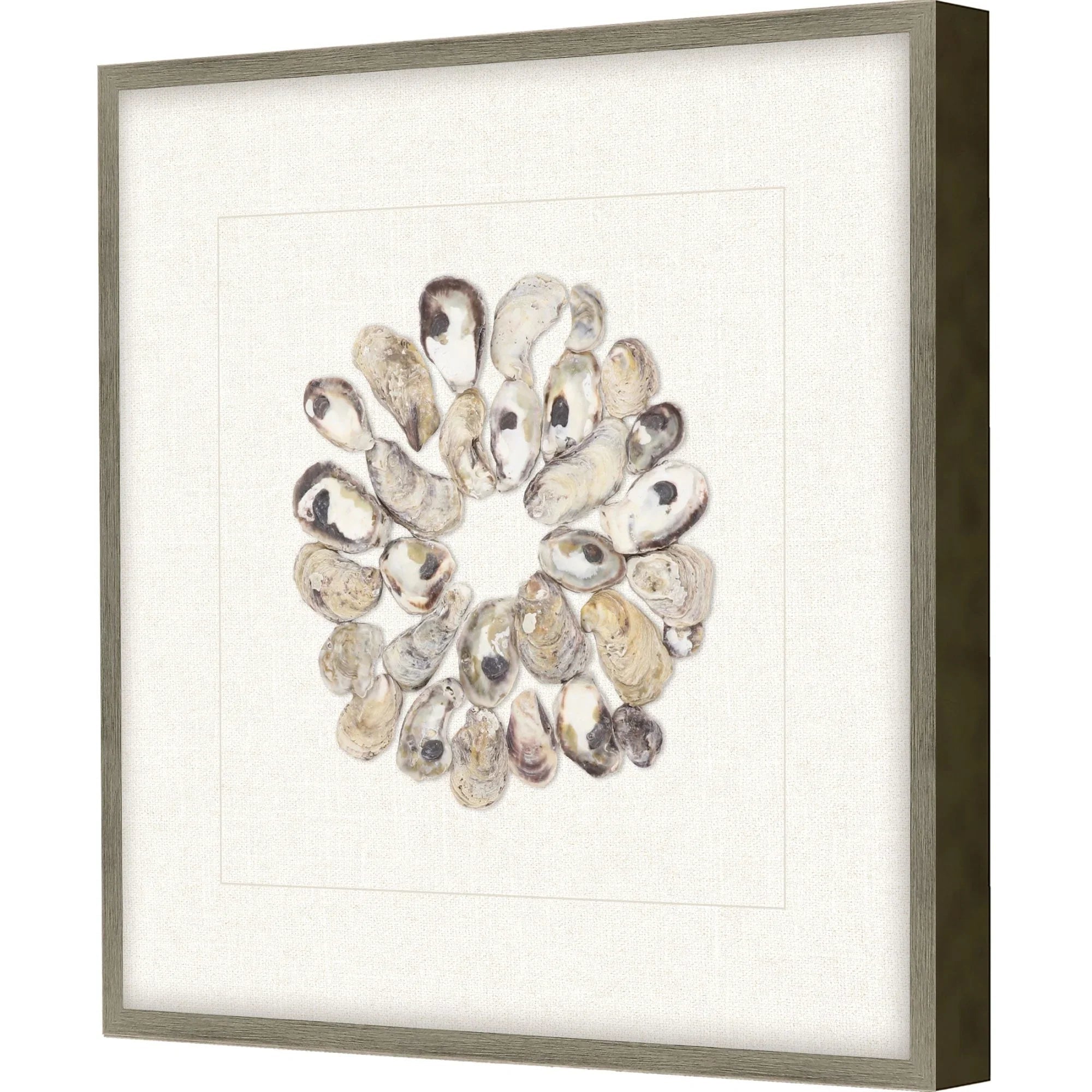 Oyster Shell Beige Canvas Art