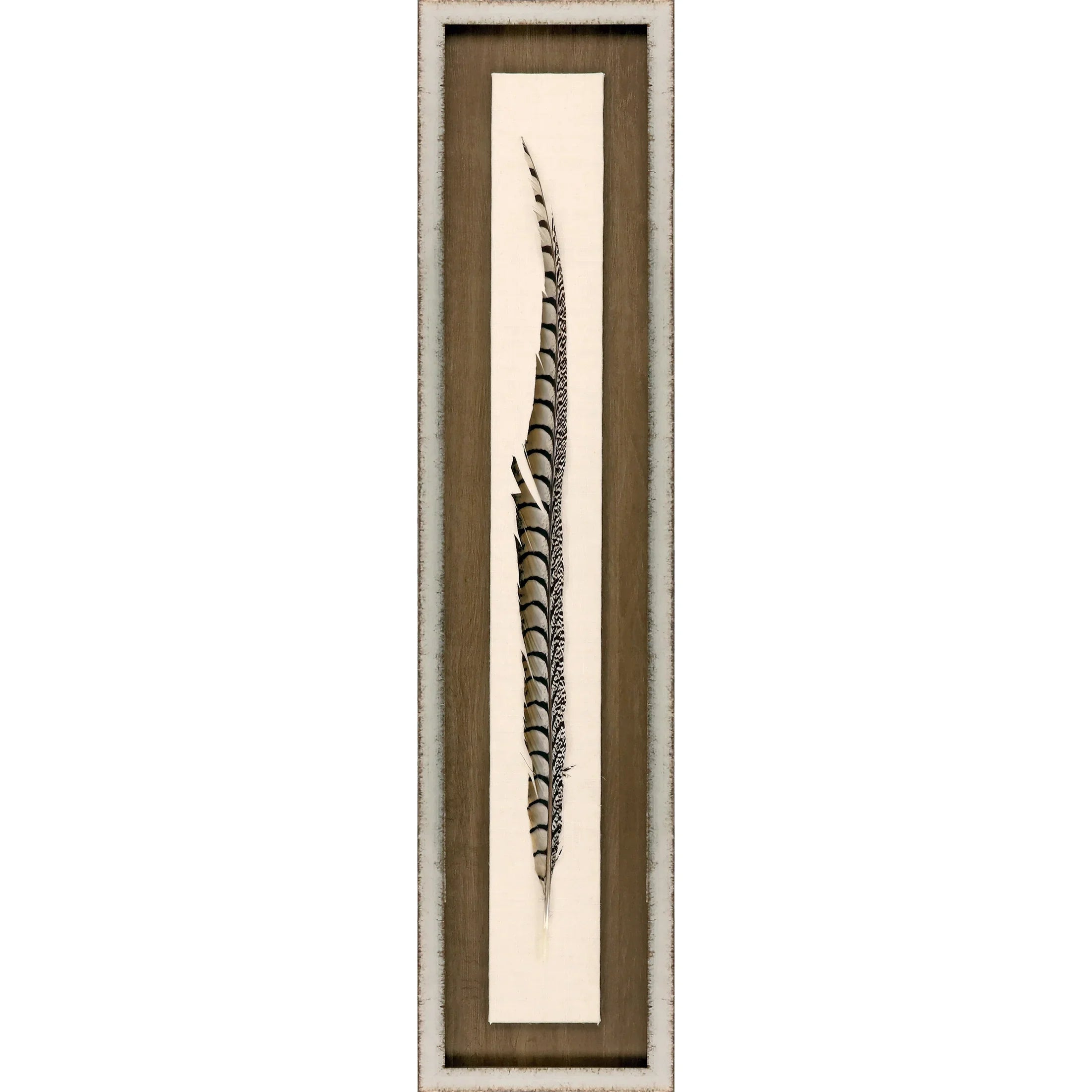 Lady Amhurst Feather Wood Frame Brown Canvas Art