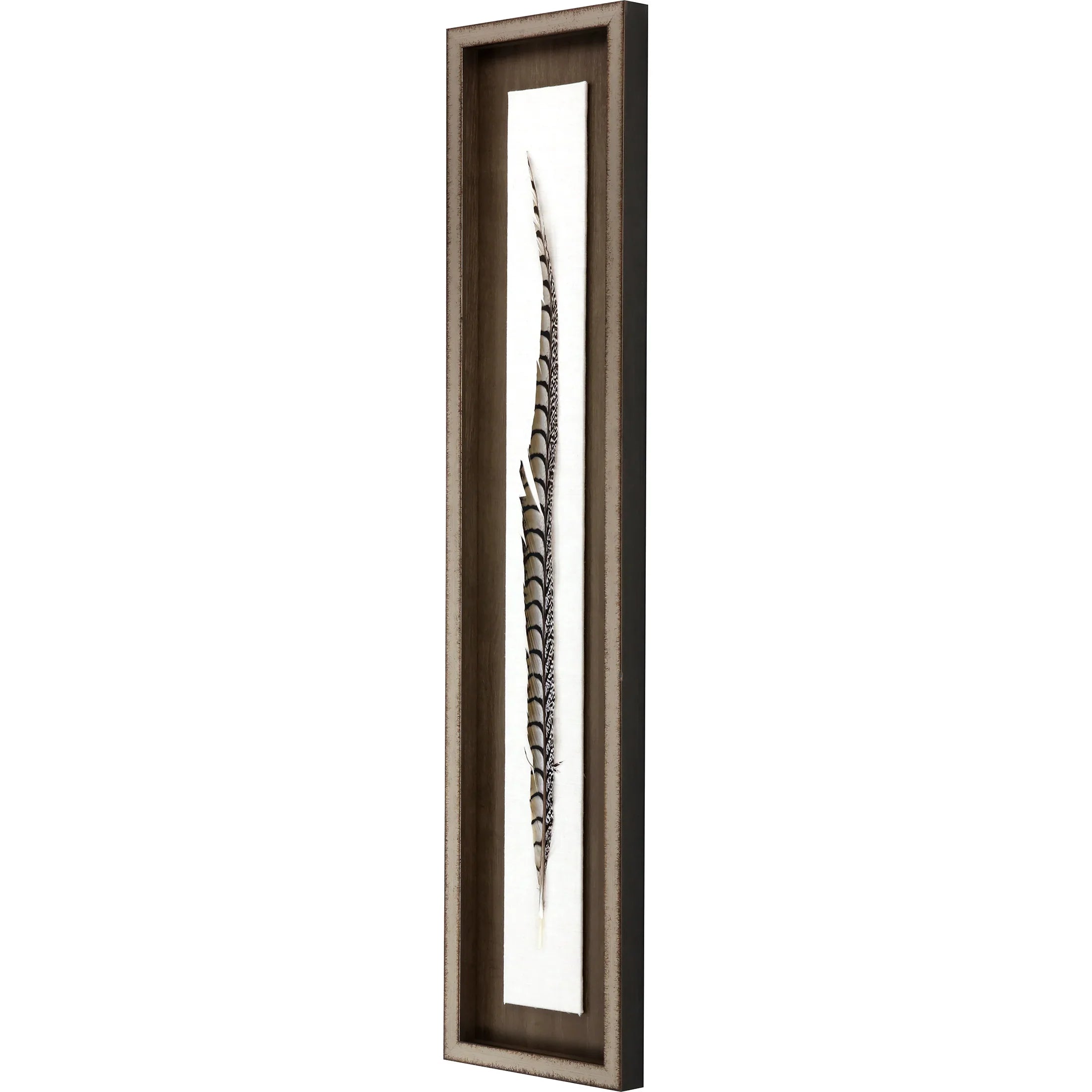 Lady Amhurst Feather Wood Frame Brown Canvas Art