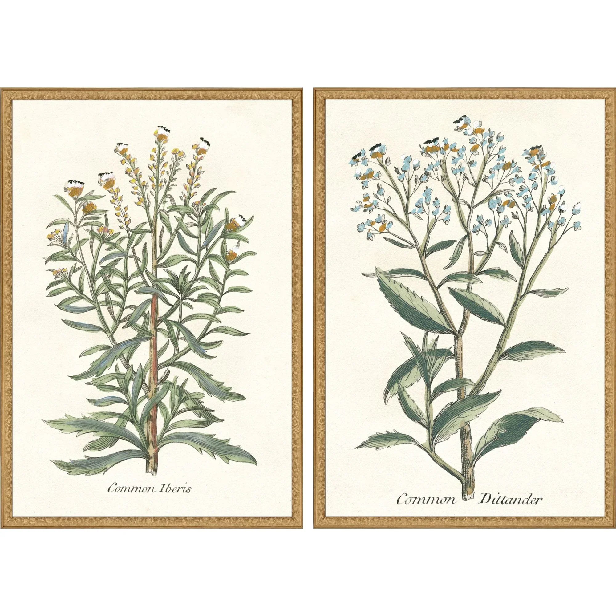 Botanical Plants Wood Frame Green Canvas Art 2PC
