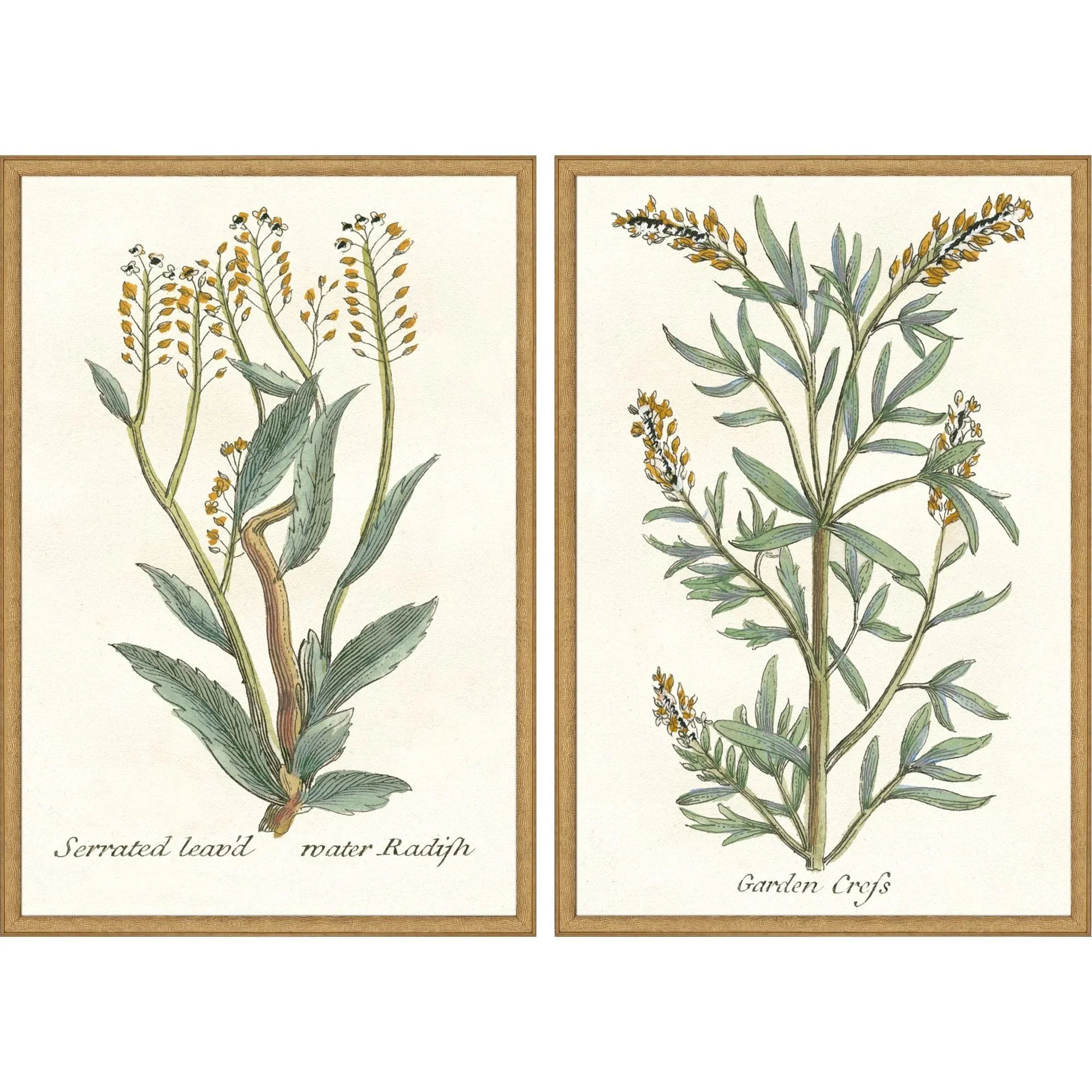 Botanical Plants Wood Frame Green Canvas Art 2PC