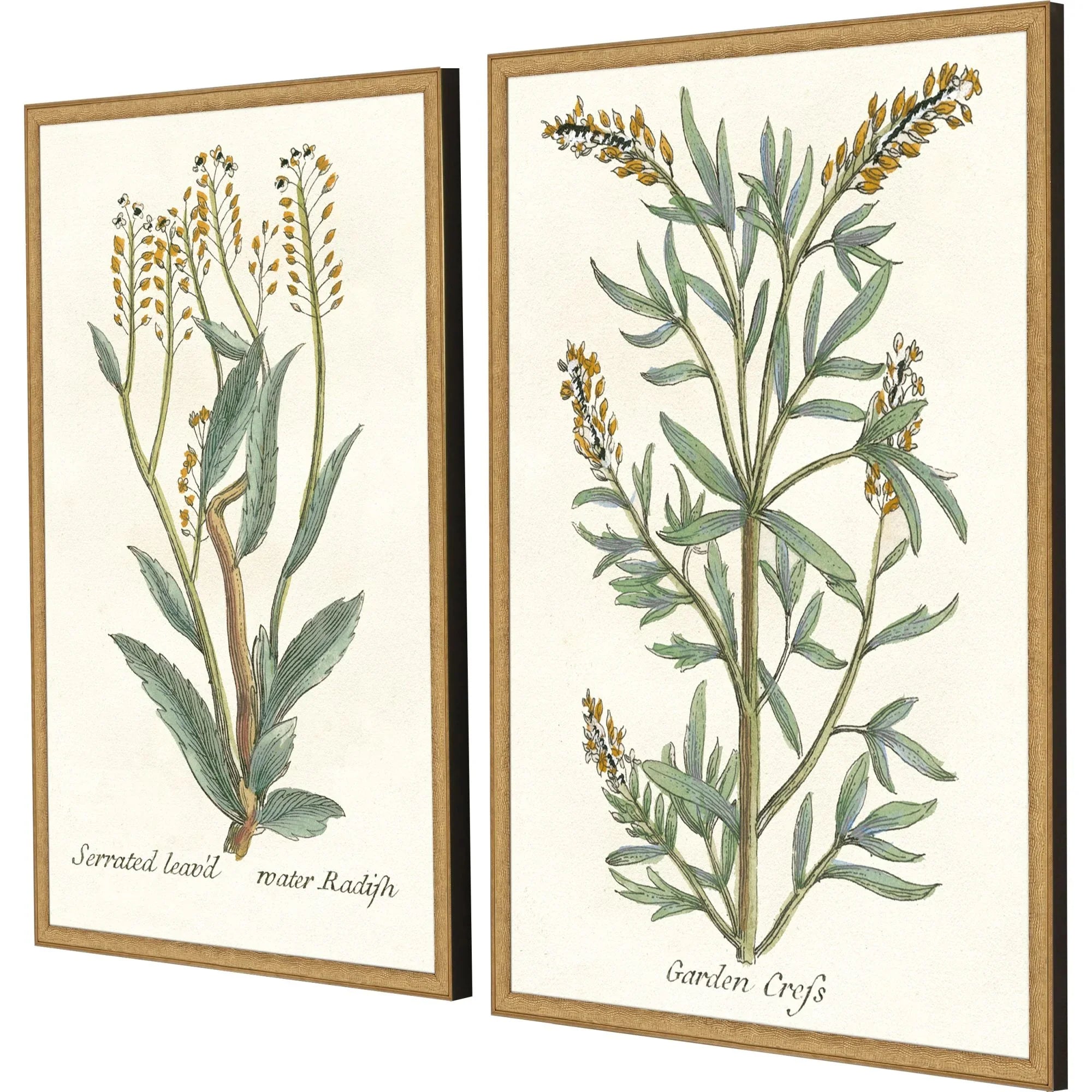 Botanical Plants Wood Frame Green Canvas Art 2PC