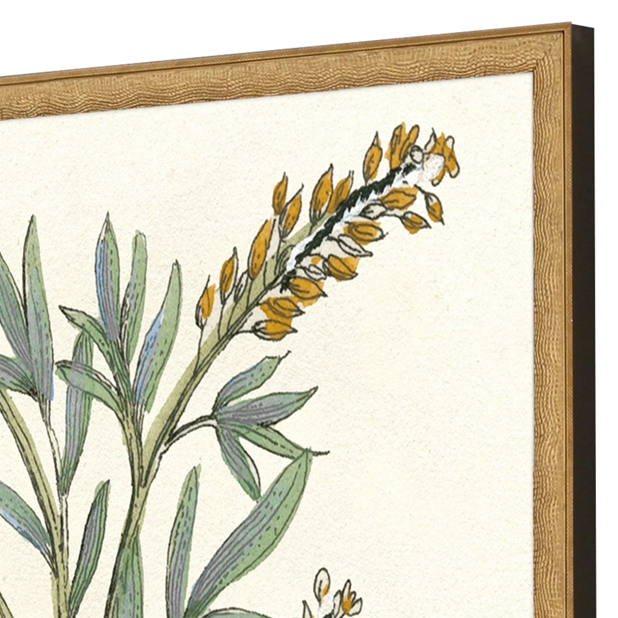 Botanical Plants Wood Frame Green Canvas Art 2PC