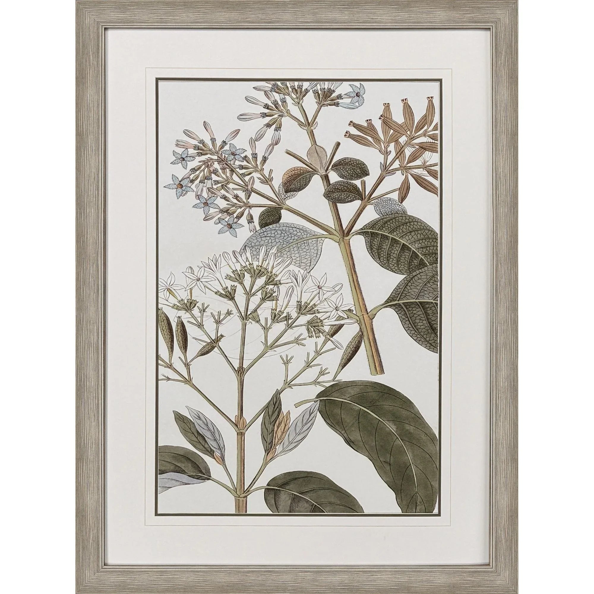 Flowering Botanical Green Canvas Art
