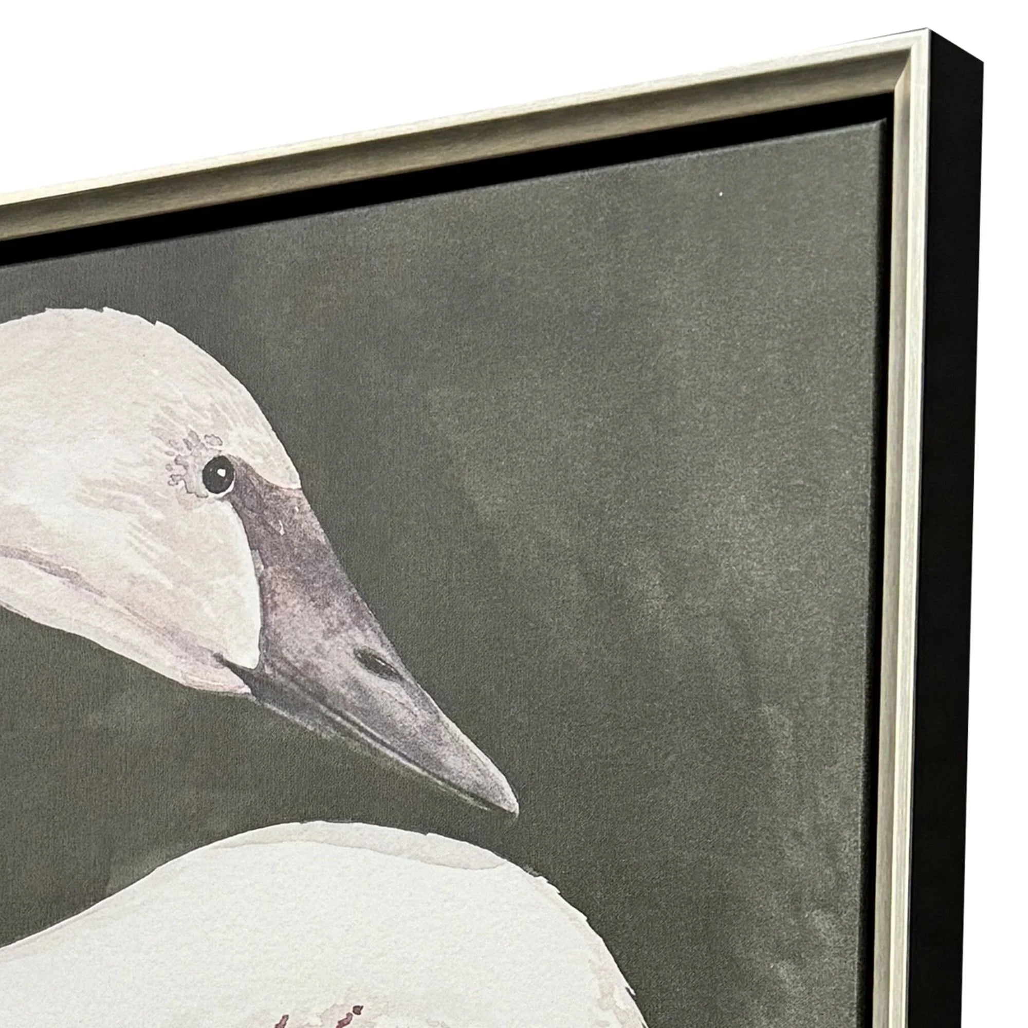 Swan Dance White Canvas Art