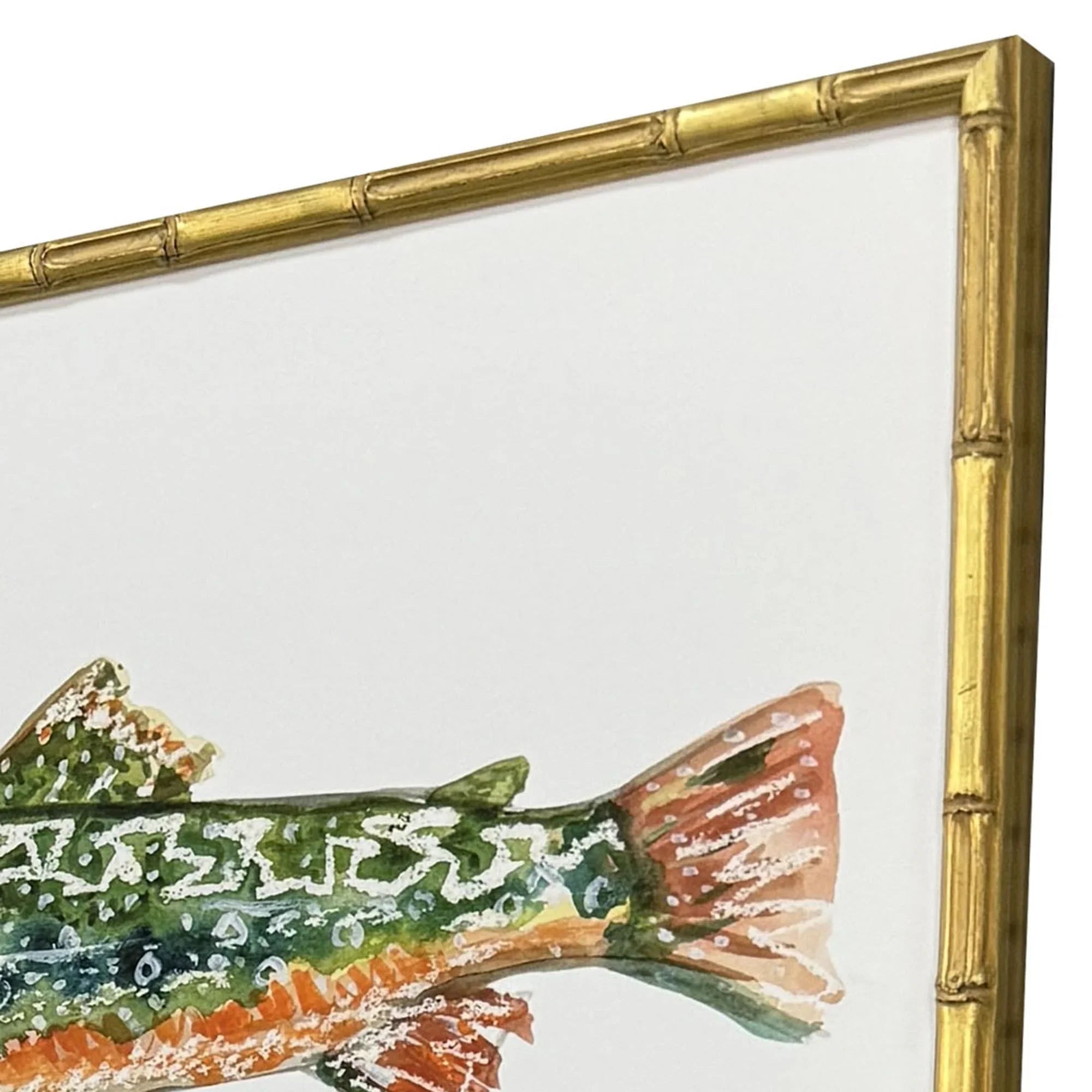 Colorful Trout Wood Frame Green Canvas Art 4PC