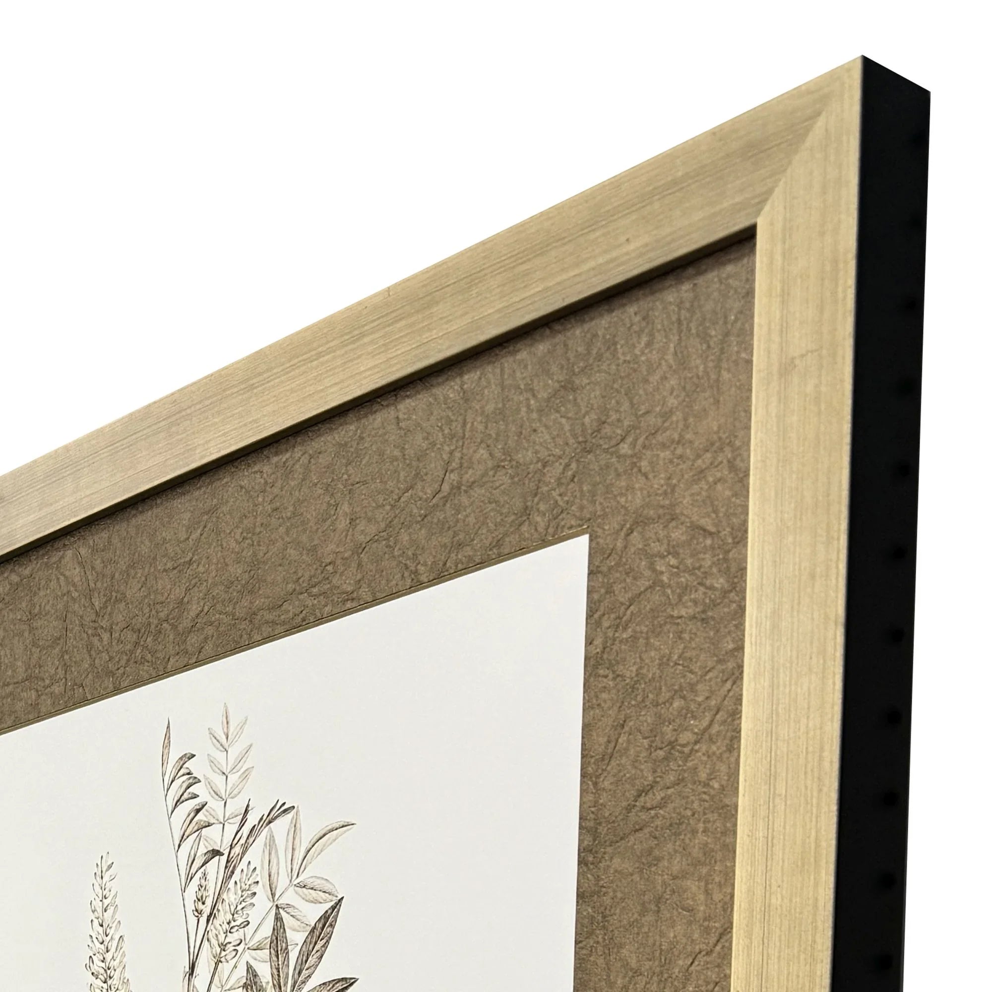 Neutral Botanical Wood Frame Brown Canvas Art 2PC