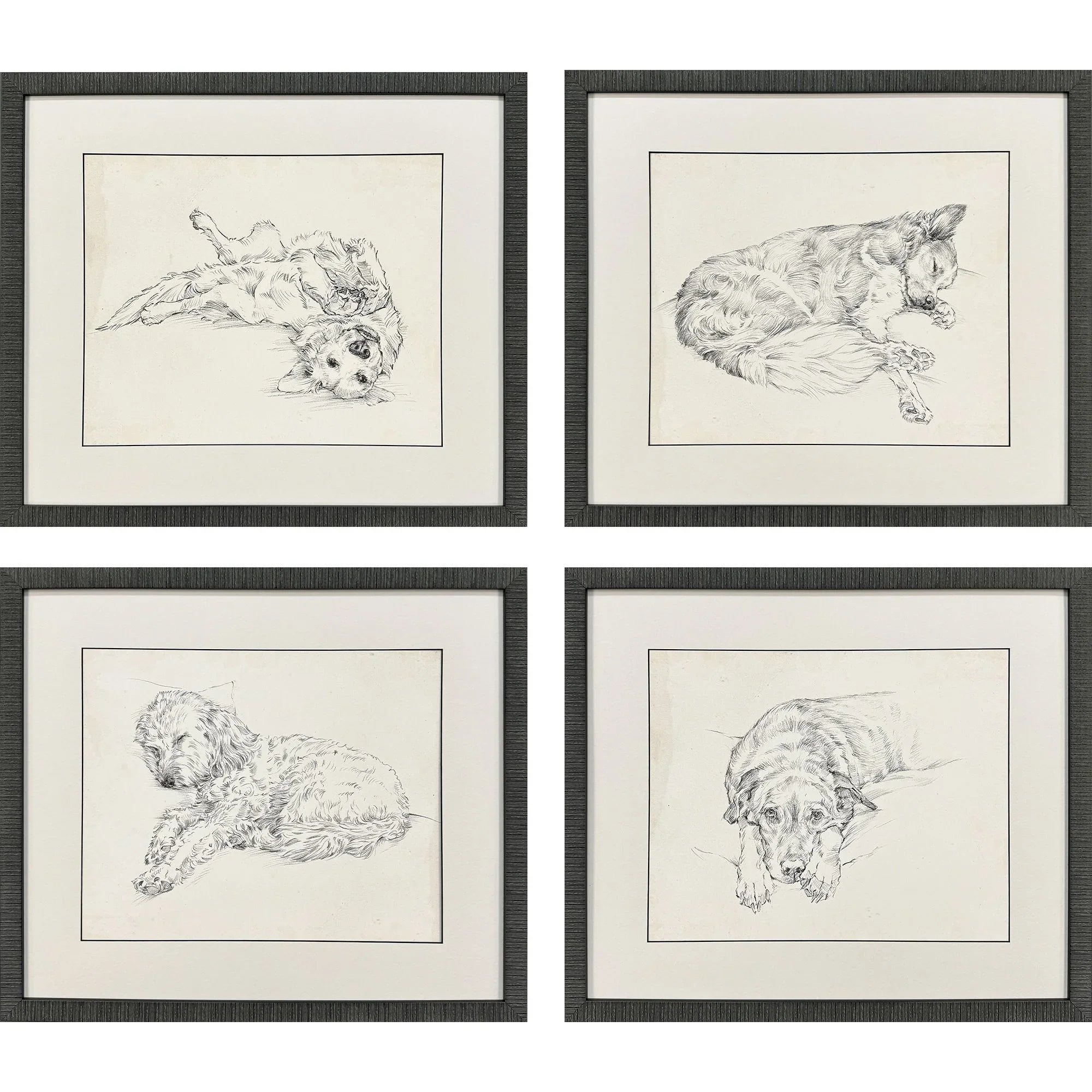 Antique Dog Sketch Beige Canvas Art 4PC