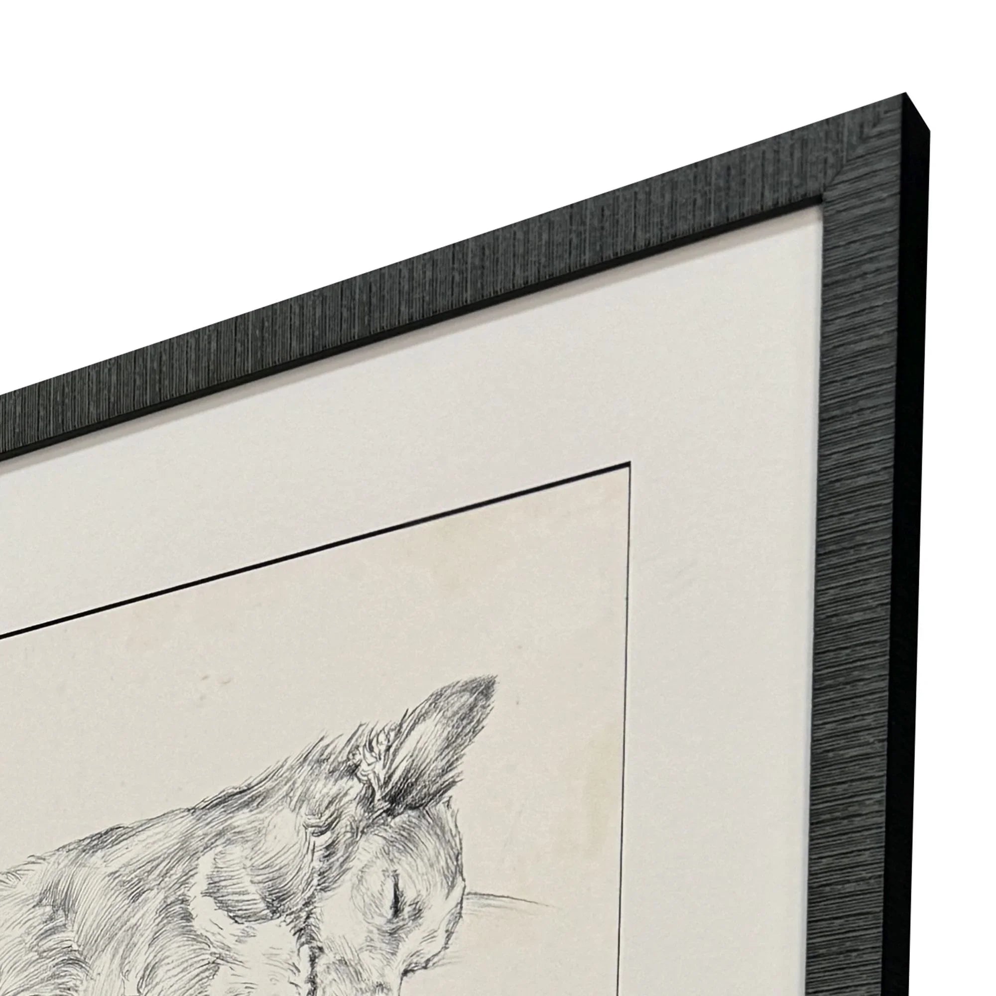 Antique Dog Sketch Beige Canvas Art 4PC