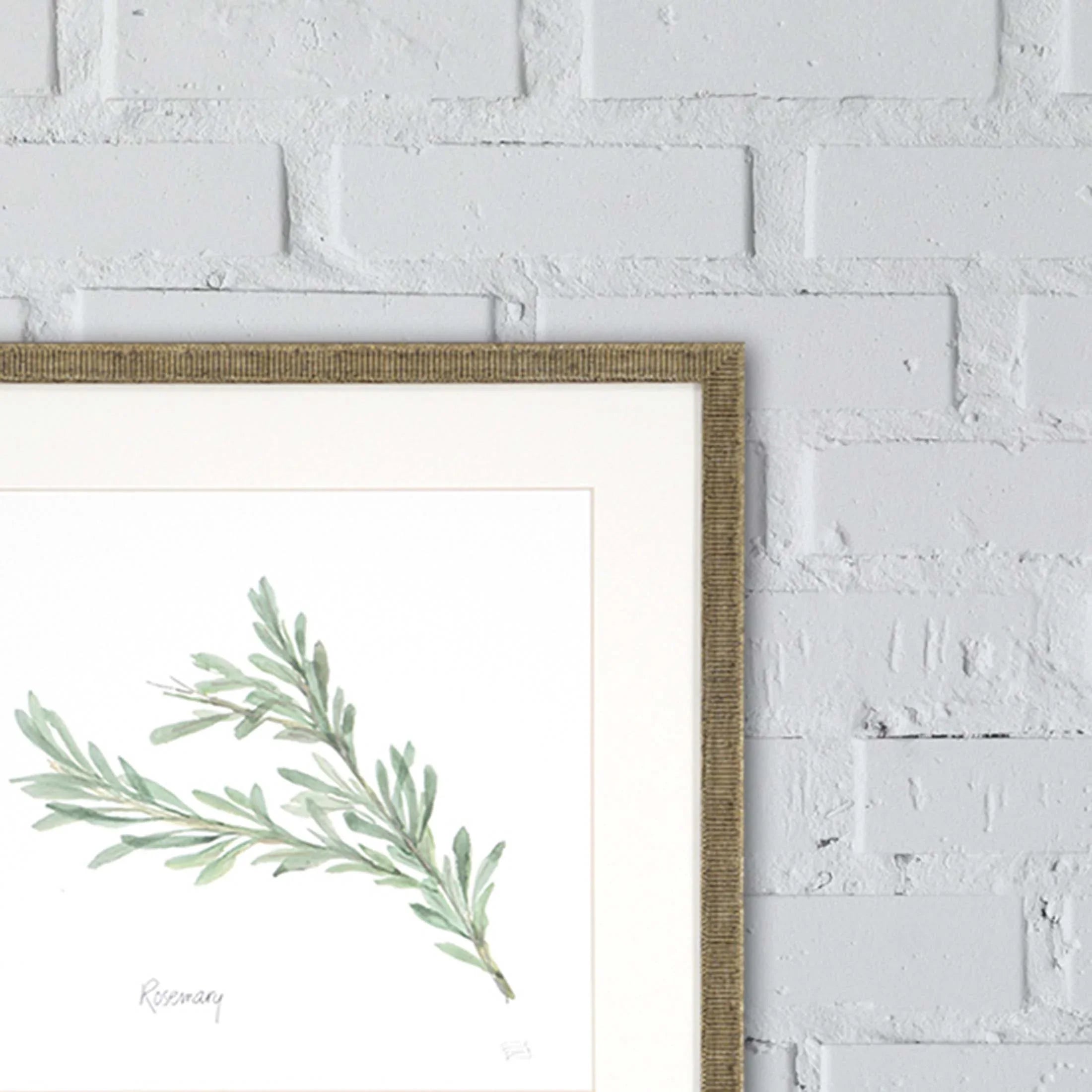 Fresh Herbs Green Canvas Art 4PC