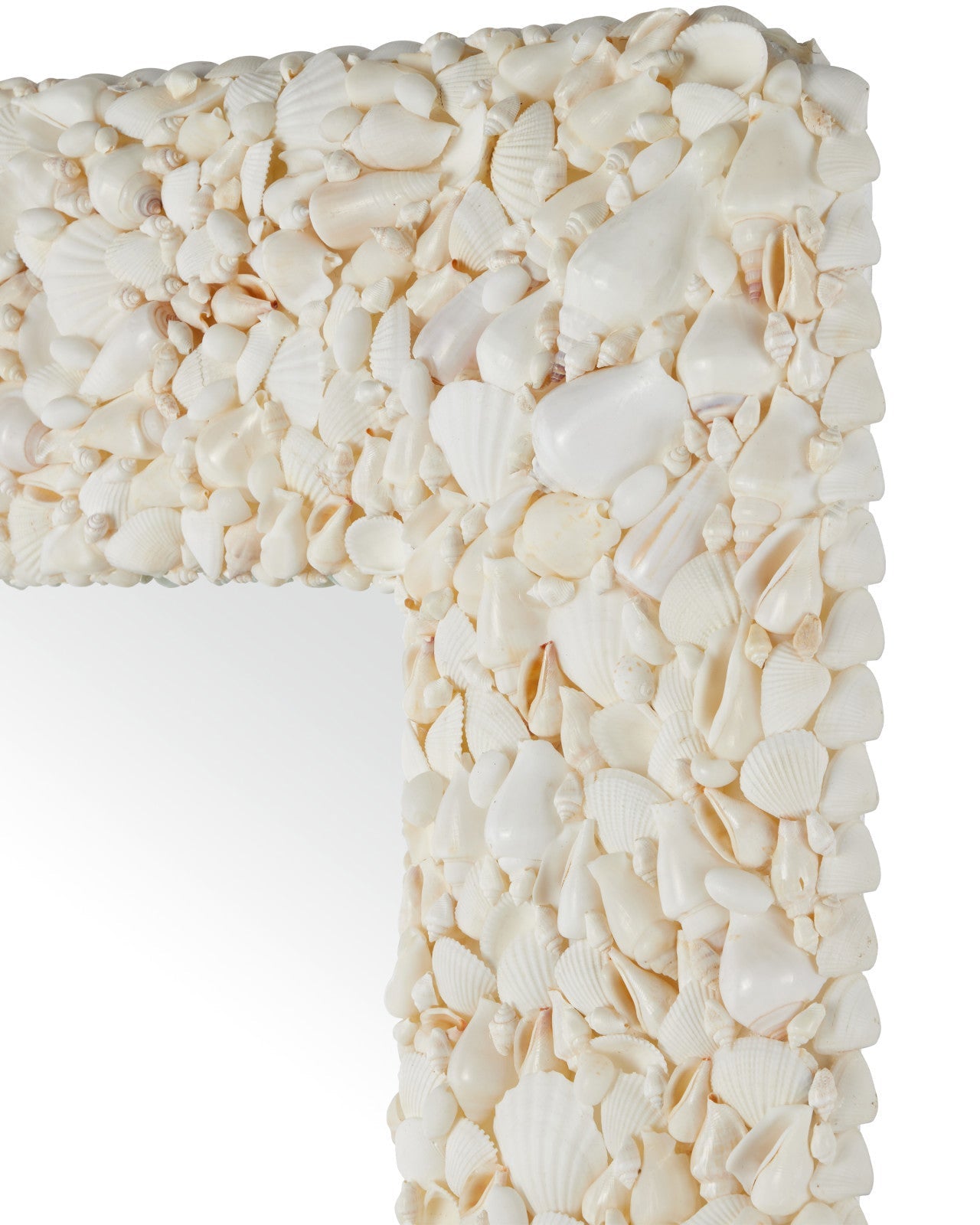 Turbinella Shells Frame Rectangular Wall Mirror