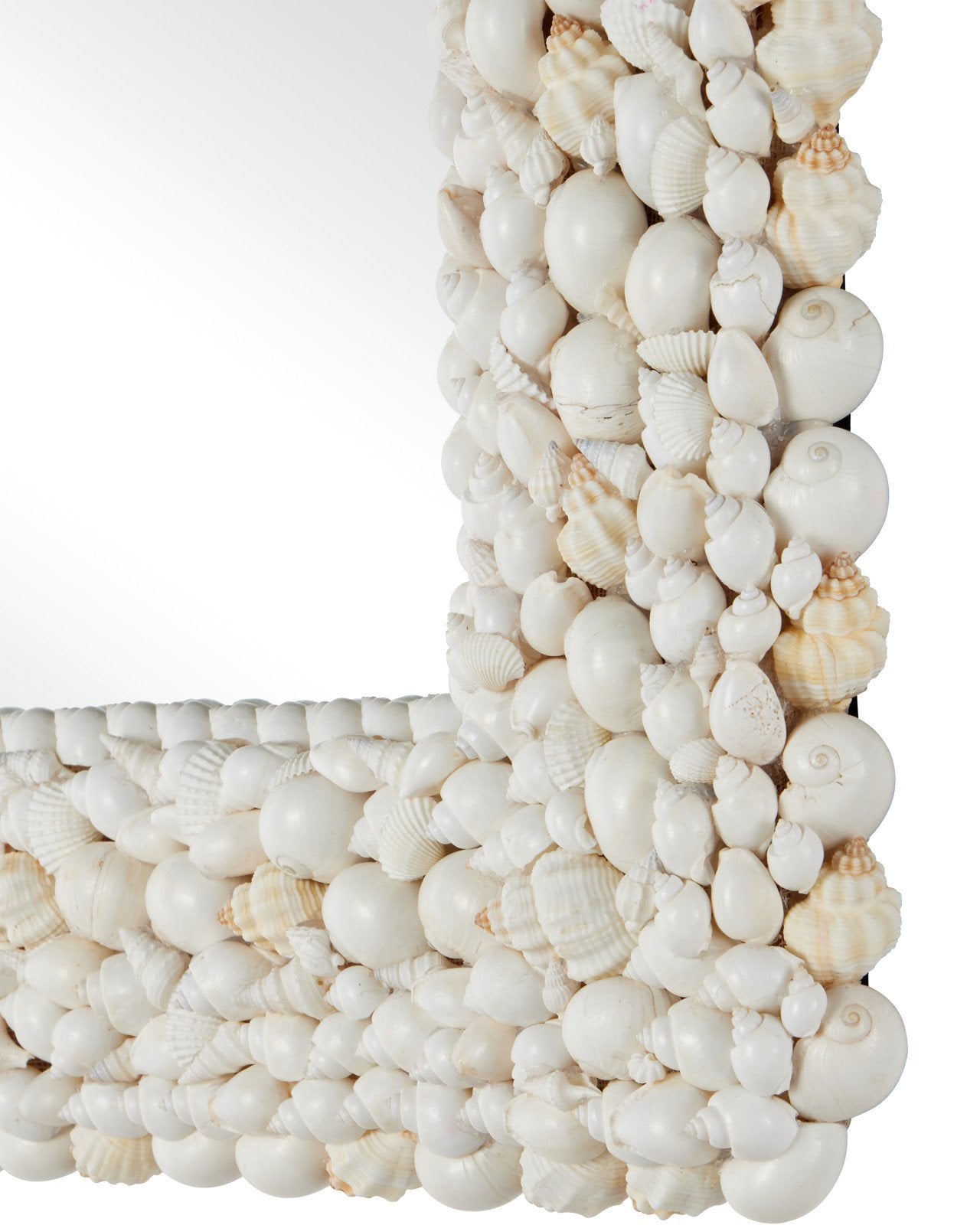 Piddock Shell Frame Square Wall Mirror