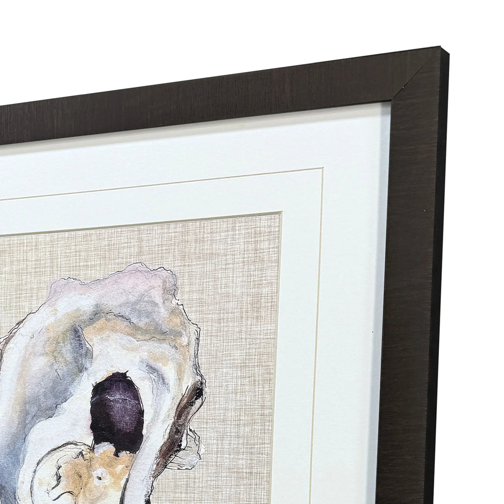 Oyster Shell Study Neutral Canvas Art 3PC