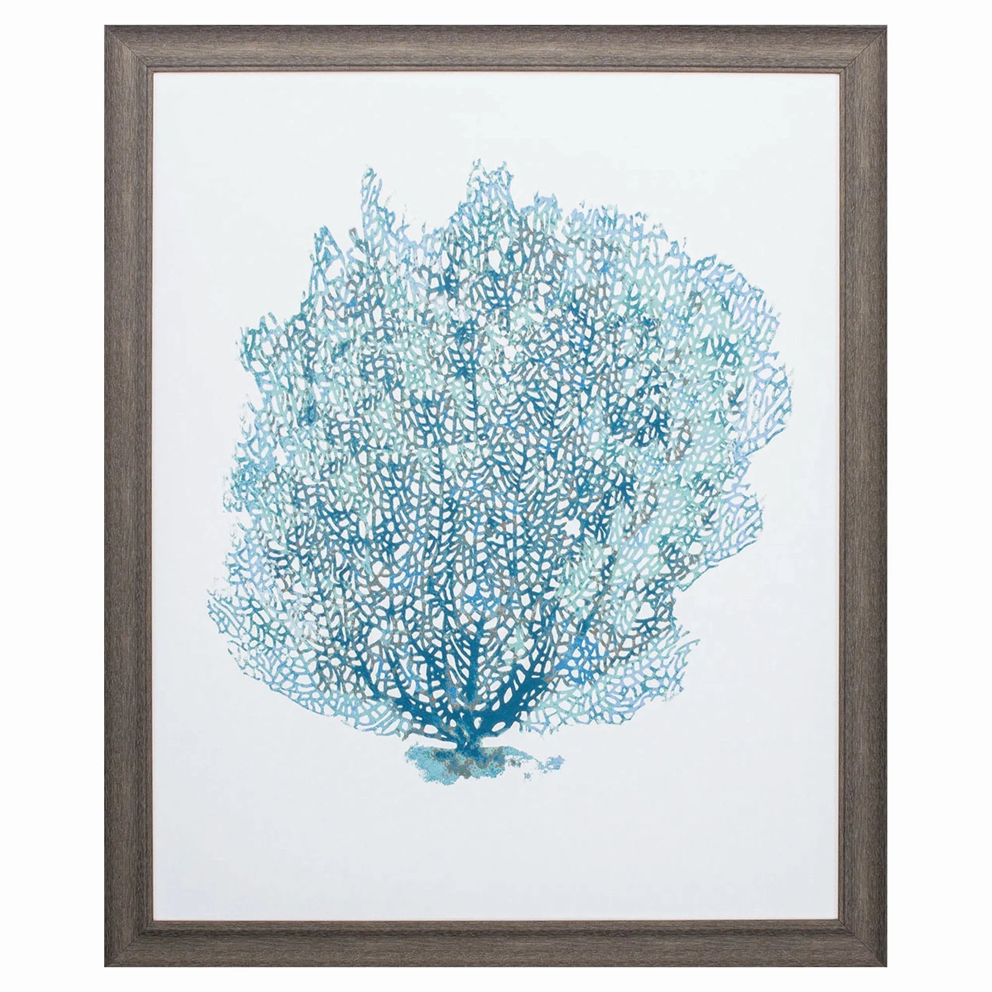 Aqua Coral on Rustic Wood Grain Frame Canvas Art