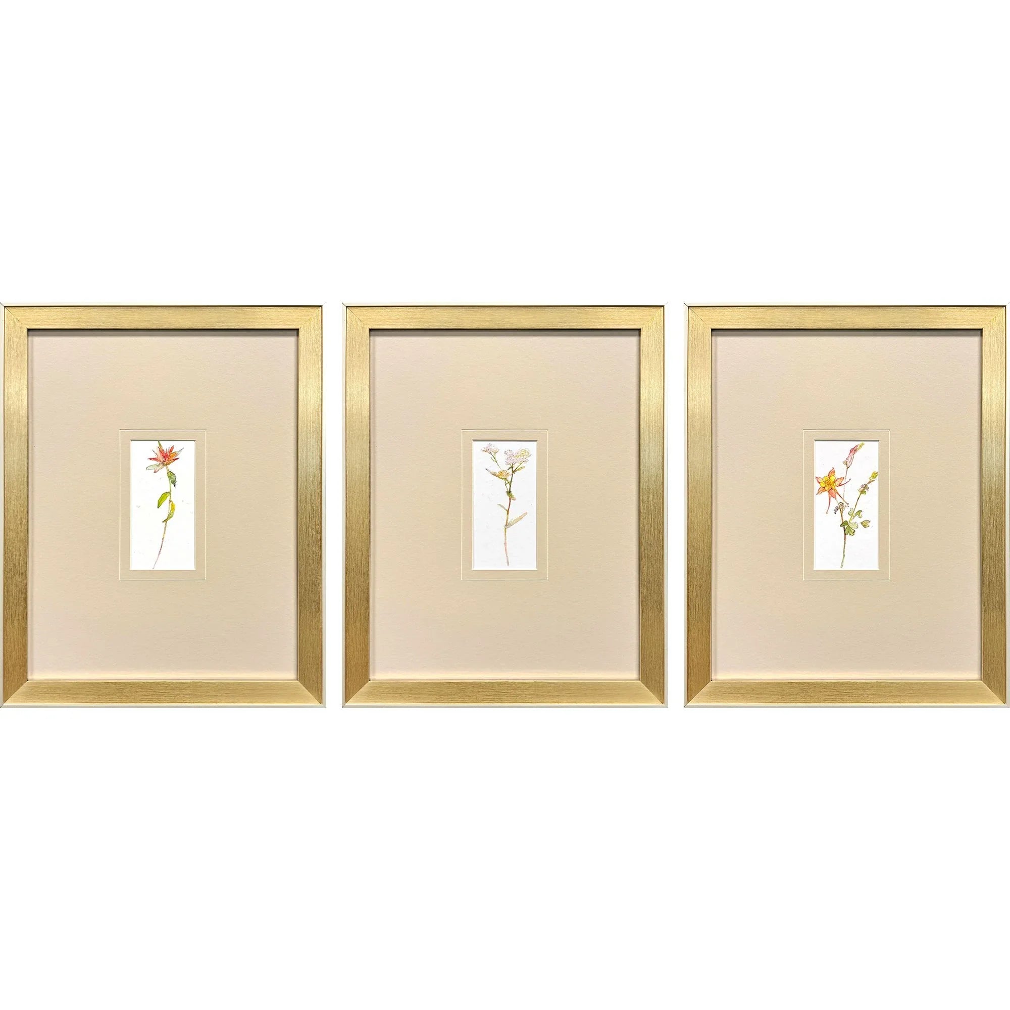 Pretty Florals Multi Canvas Art 3PC