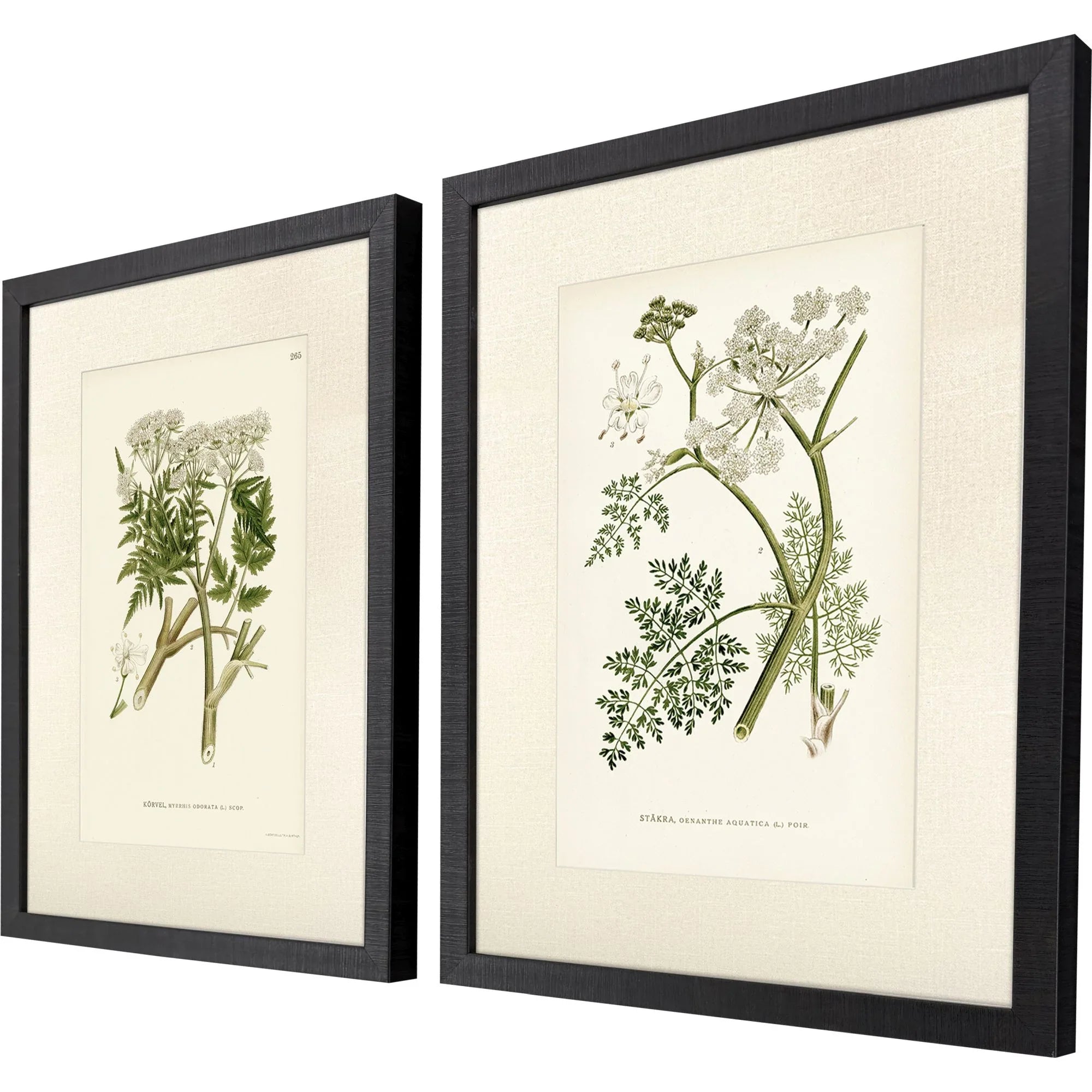 Queen's Lace Green Canvas Art 2PC