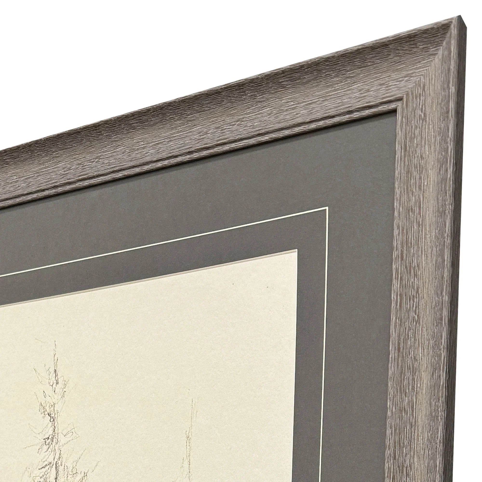 Elegant Pine Black Canvas Art