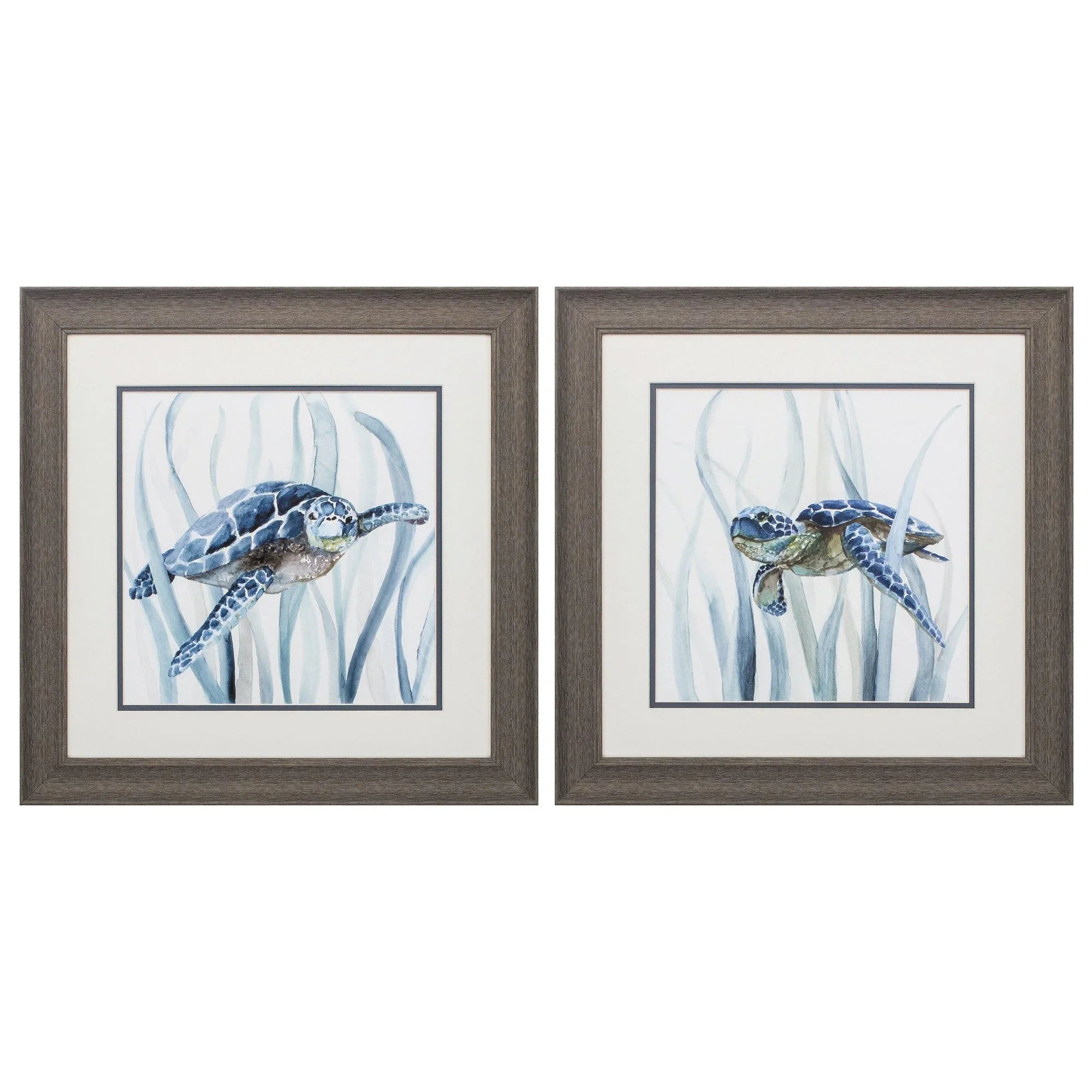 Turtle in Grass Blue Canvas Art 2PC