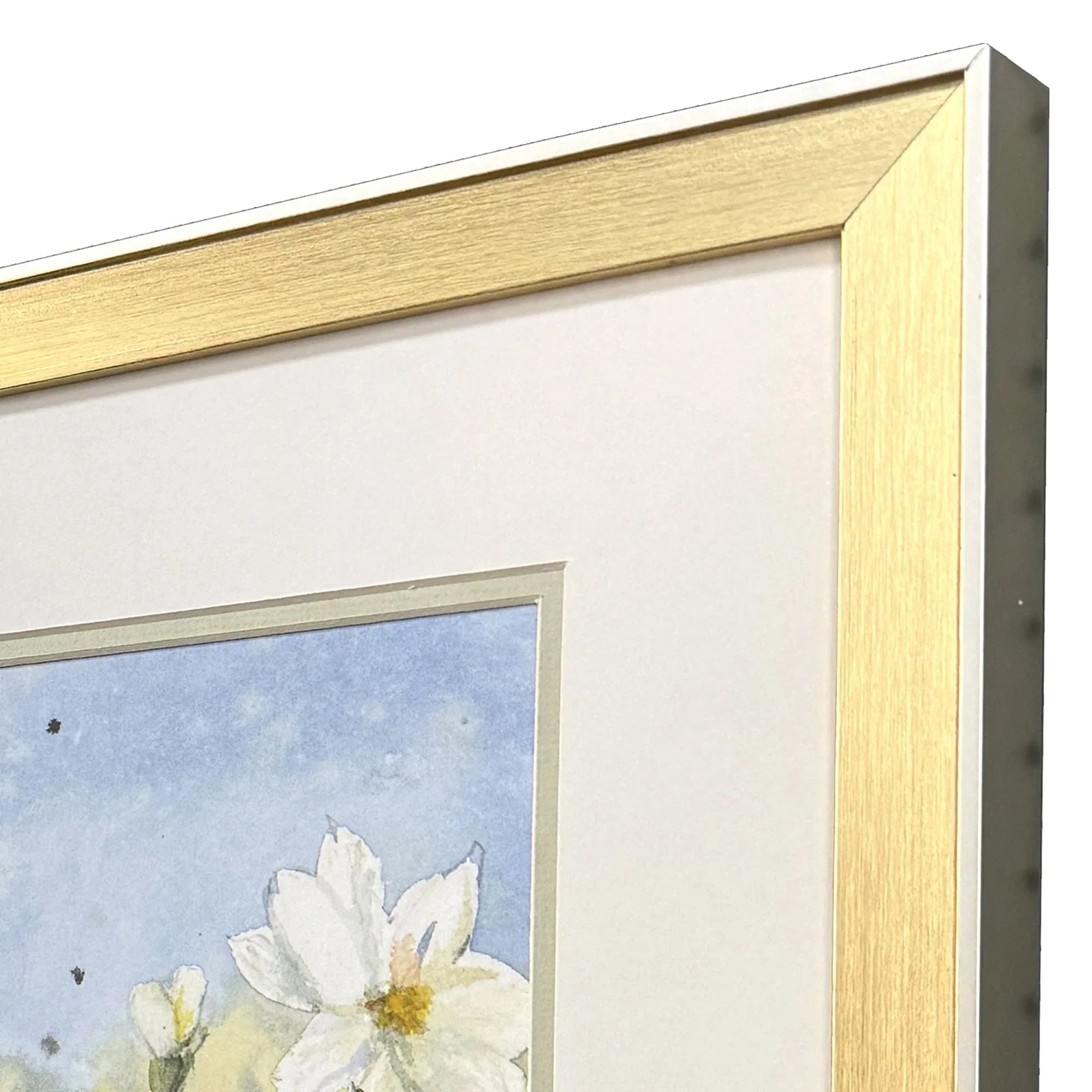 Summer Wildflowers Green Canvas Art 2PC