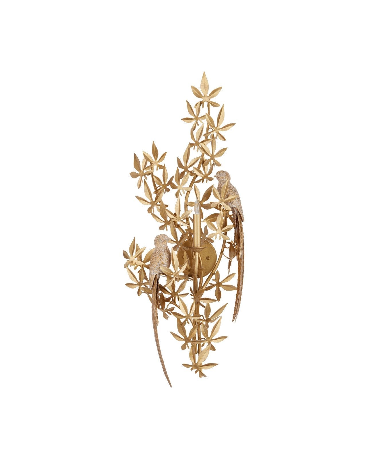 Aviary Swedish Gold Finish Wall Sconce