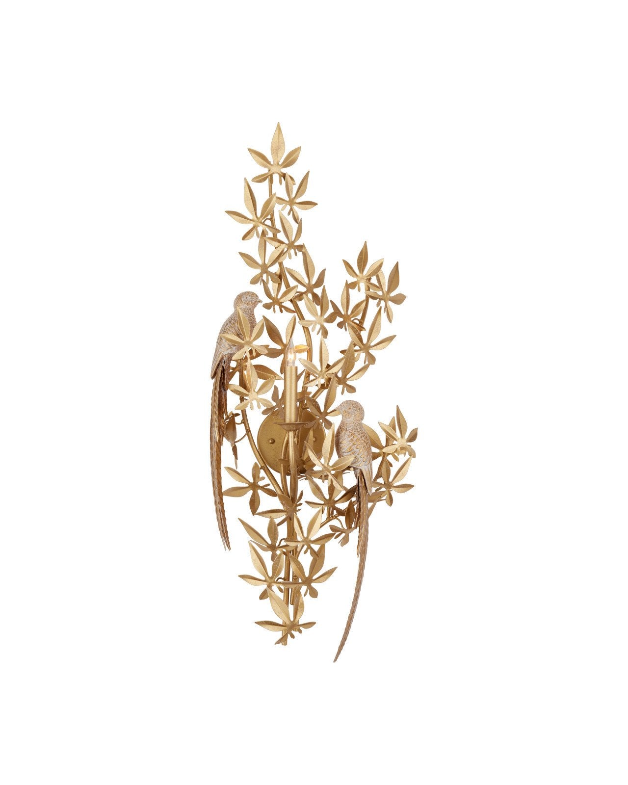 Aviary Swedish Gold Finish Wall Sconce