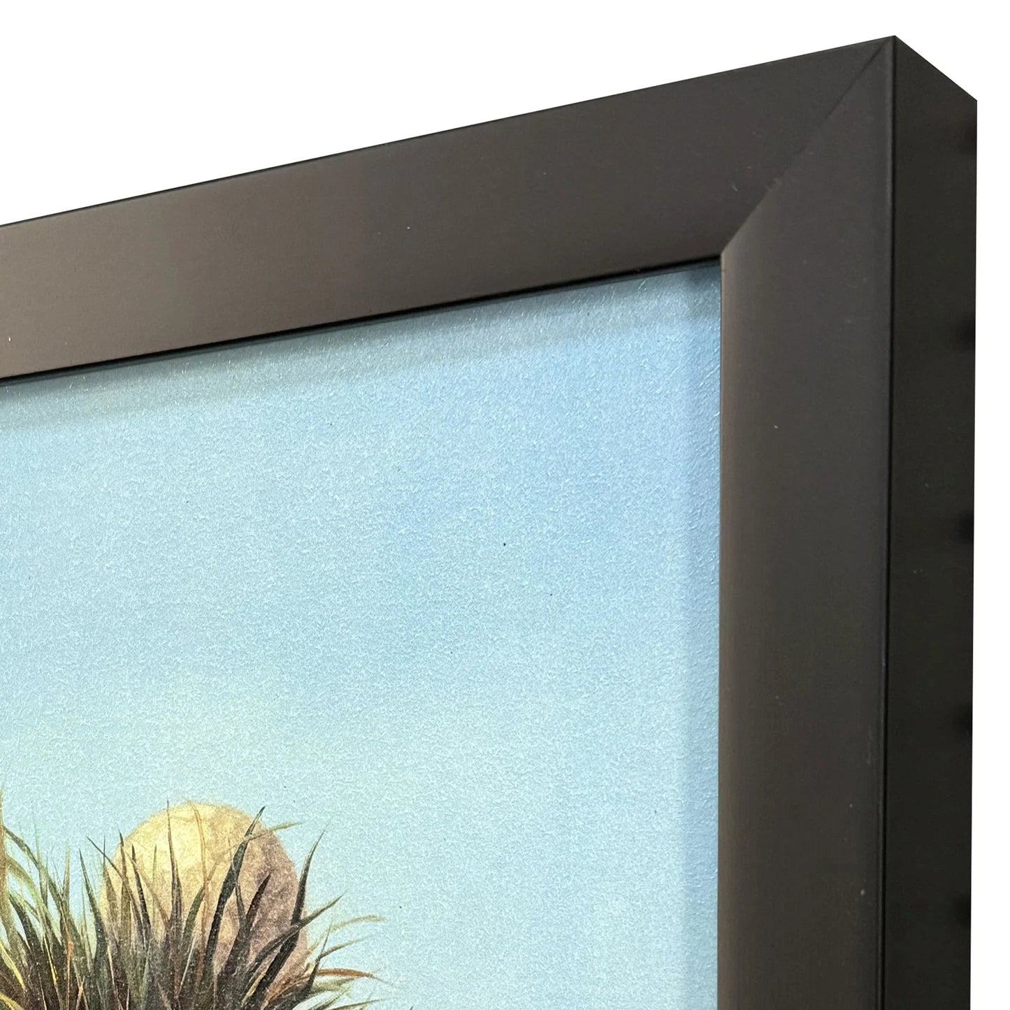 Ball Hog No. 2 Blue Canvas Art