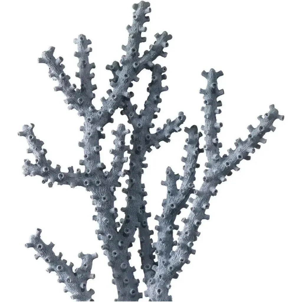Blue Coral Set of 2 - LOOMLAN - Currey & Co - Statues & Sculptures