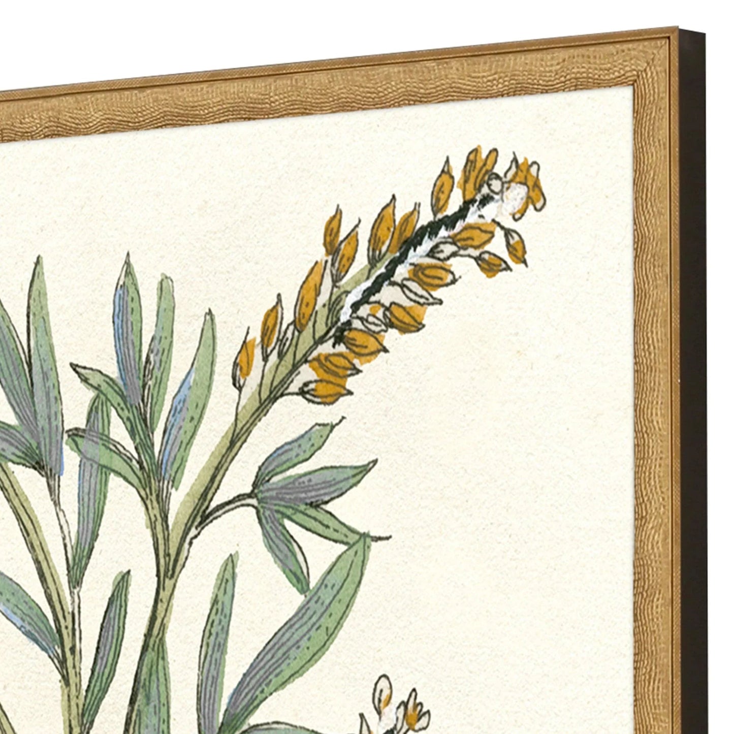 Botanical Plants Wood Frame Green Canvas Art 2PC