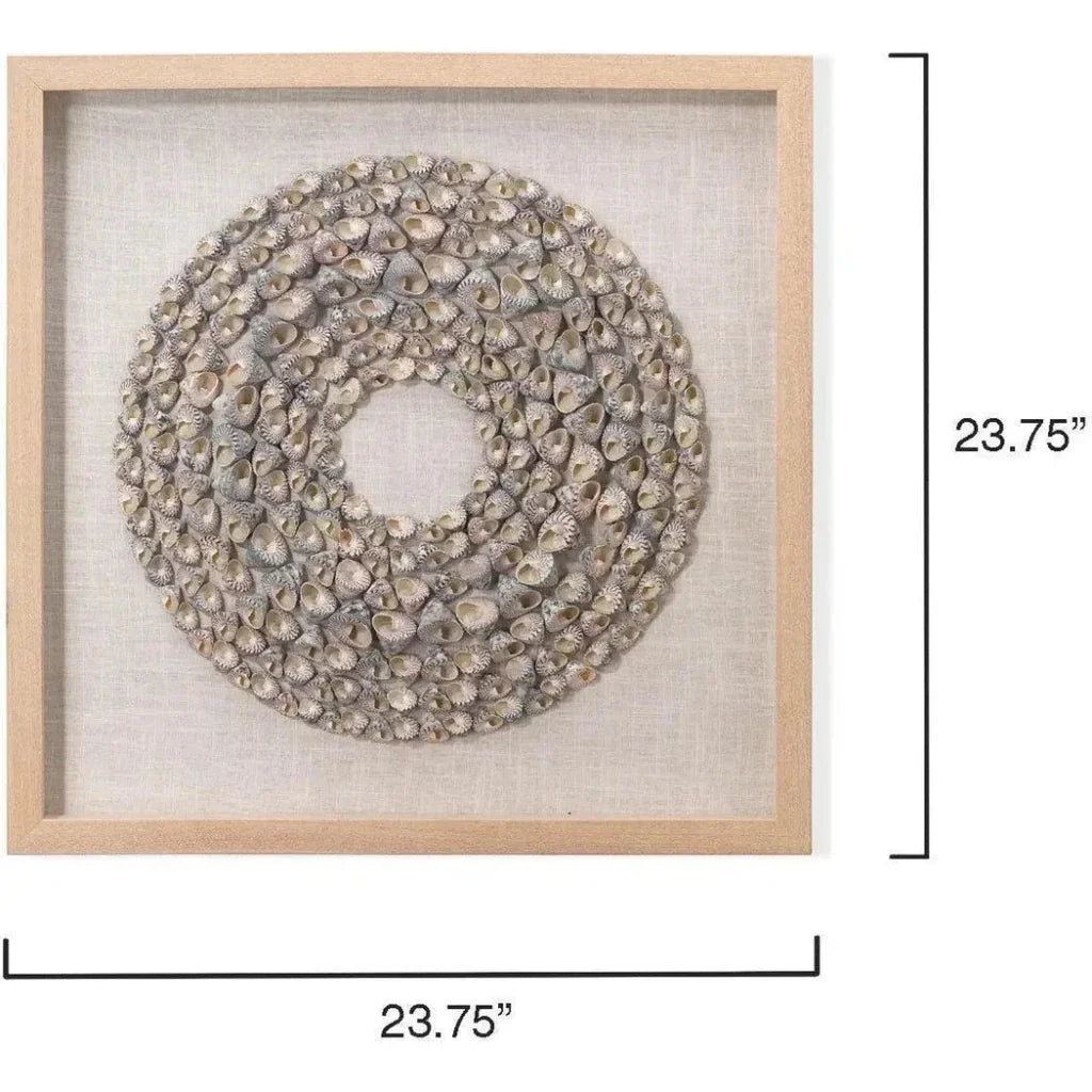 Coastal Screw Shells Pine Wood Bora Bora d Wall Art-Framed Wall Art-Jamie Young-LOOMLAN