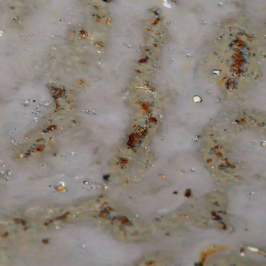 Crustacean Grey Ceramic Bowl