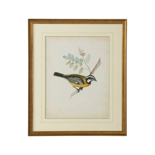Delicate Birds Giclee Printed Artwork-Framed Wall Art-Chelsea House-Birds V-LOOMLAN