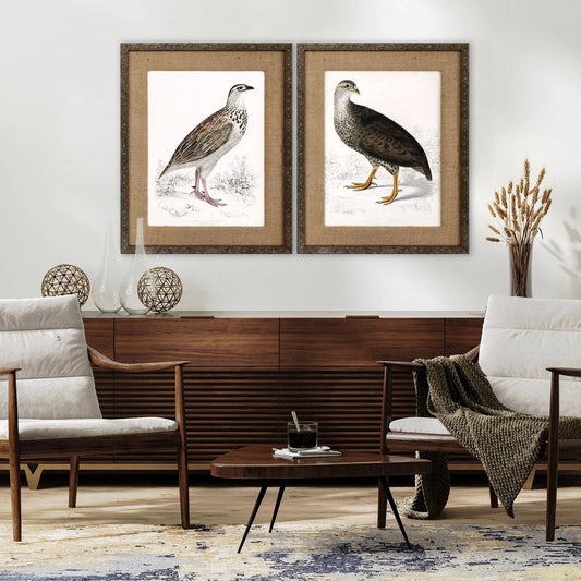 Francolinus Birds Wood Frame Brown Canvas Art 2PC