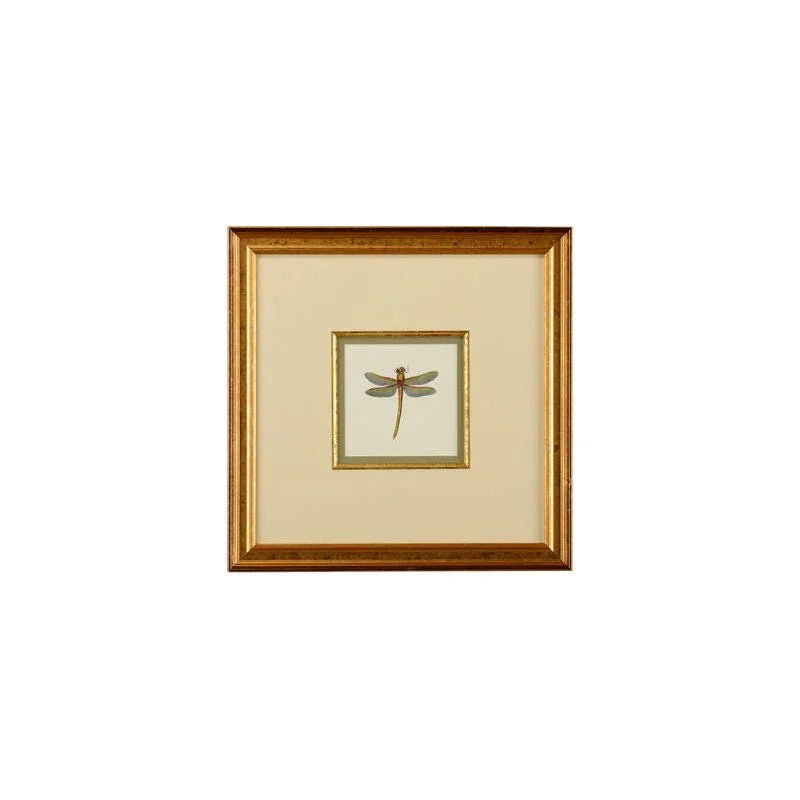 Miniature Dragonfly Gold Framed Artwork-Framed Wall Art-Chelsea House-Dragonfly II-LOOMLAN