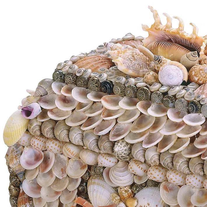 Natural Boardwalk Shell Jewelry Box - LOOMLAN - Currey & Co - Boxes & Bowls
