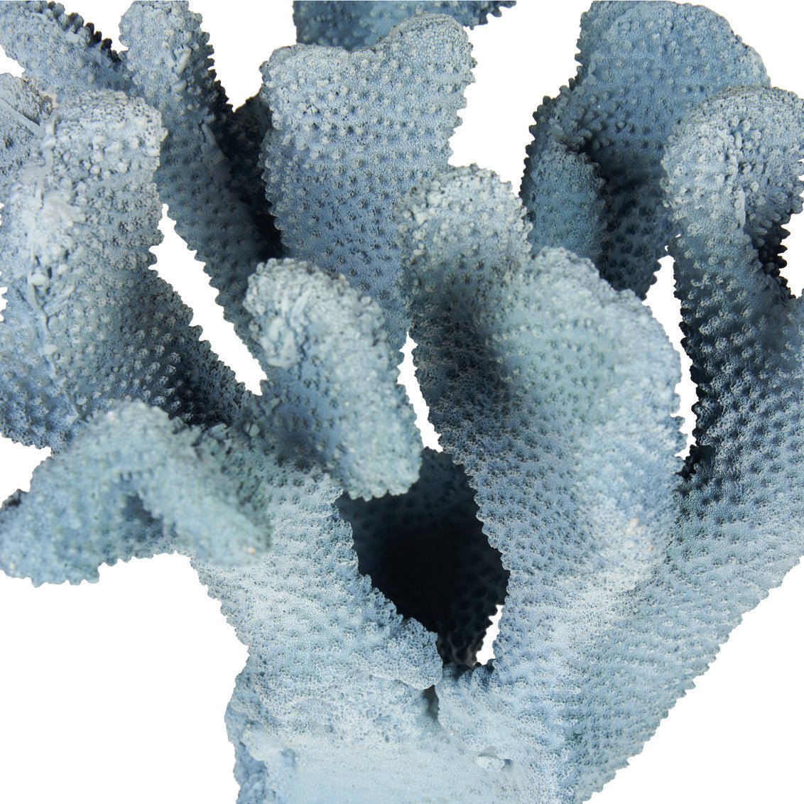 Chelsea House Ocean Bloom Accent Resin Sculpture