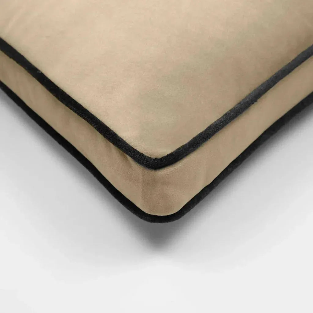 Posh Box Latte Brown Throw Pillow Insert - LOOMLAN - D.V. Kap - Throw Pillows