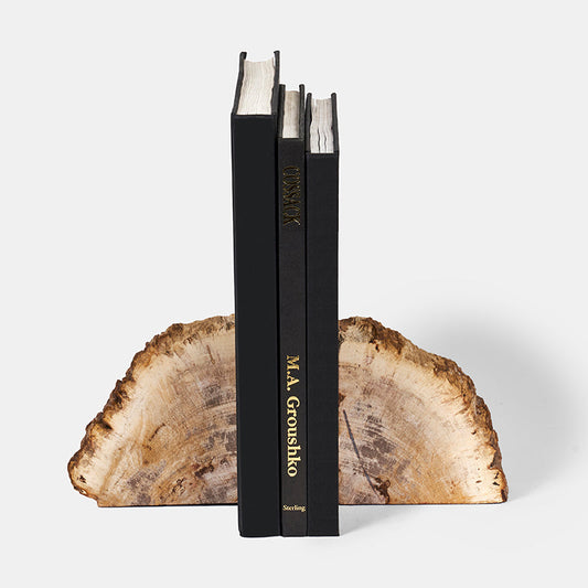 Rocco Petrified Wood Bookend