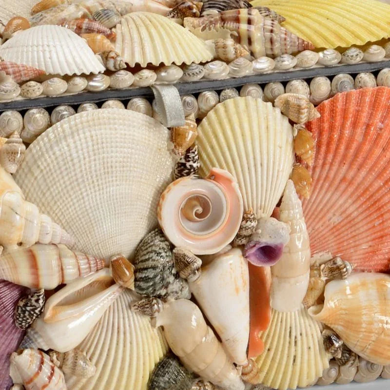Shell Made Multicolor Box (Set of 3) - LOOMLAN - Chelsea House - Boxes & Bowls