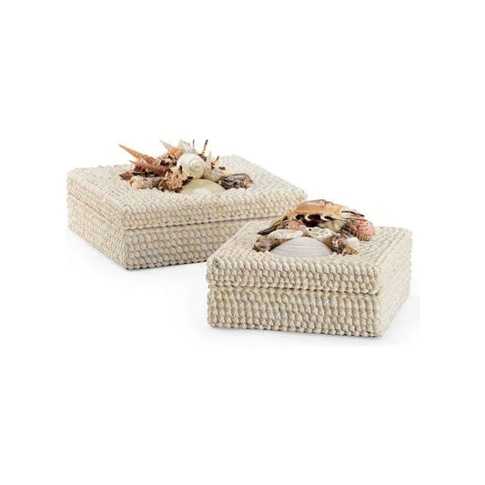 Shell Made White Box (Set of 2) - LOOMLAN - Chelsea House - Boxes & Bowls