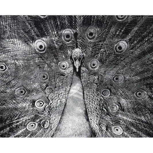 Silver Plumage 72" x 48" Charcoal Frame Luxe Wall Art-Framed Wall Art-SUNPAN-LOOMLAN