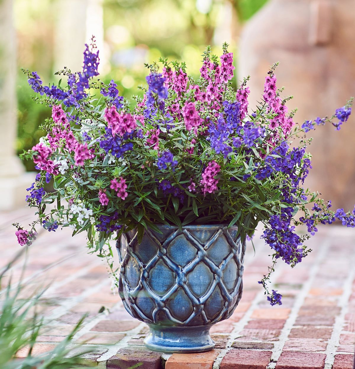 Vinci Criss Cross Ceramic Planter - Curated Home Gift - view 3