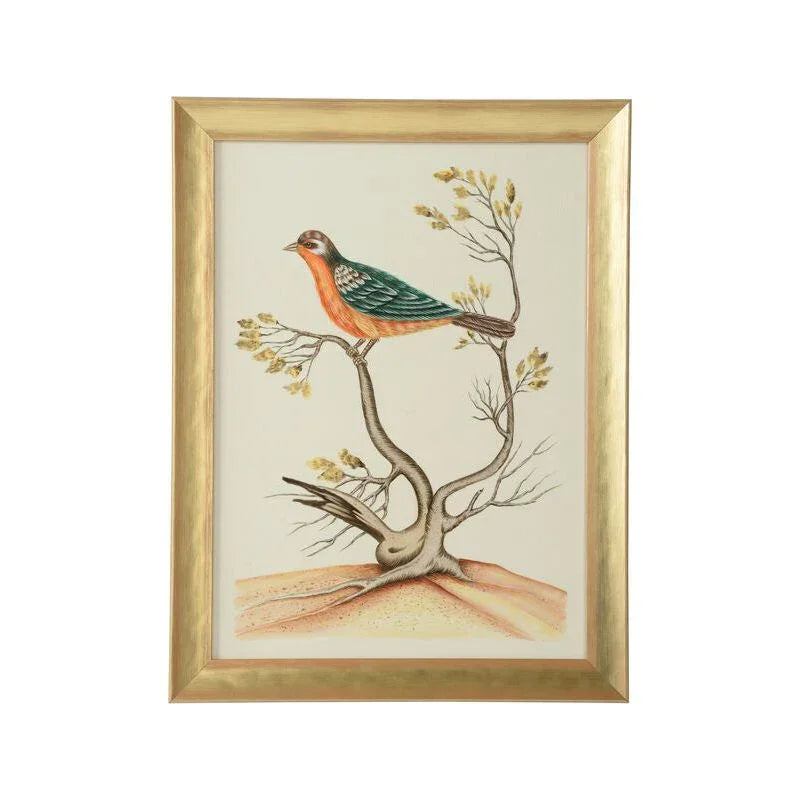 Watercolor Birds Gold Wood Framed Artwork-Framed Wall Art-Chelsea House-Birds B-LOOMLAN