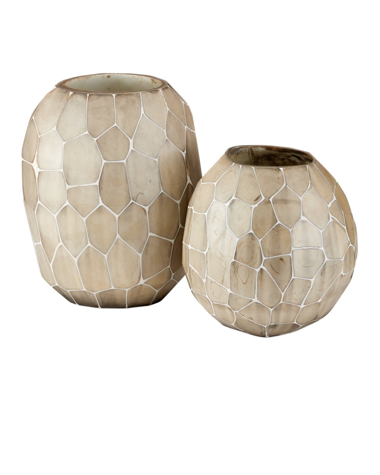 Runnell Hand Applied Glass Vase (Set of 2)