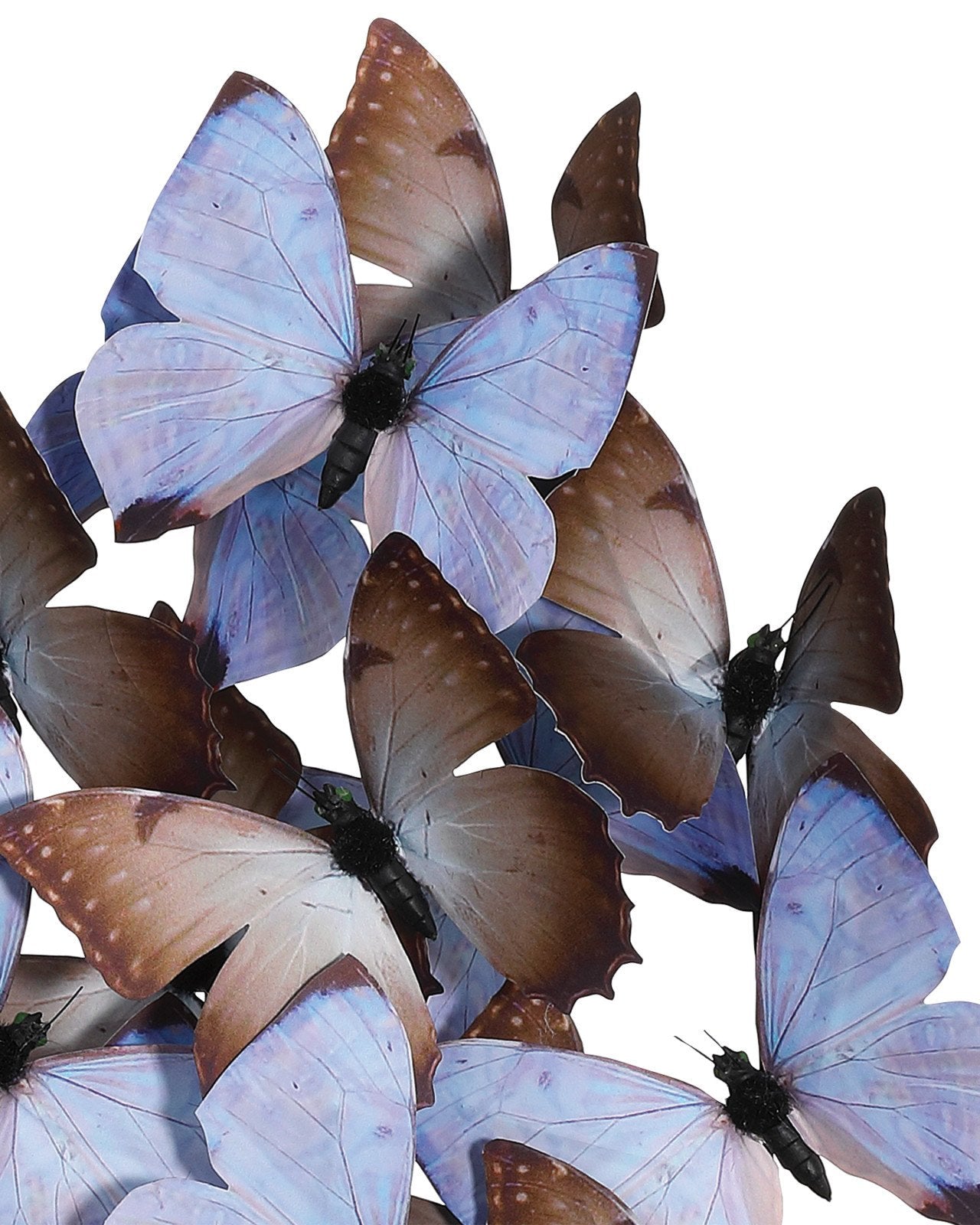 Rue de Bac Lilac Large Butterflies Sculpture