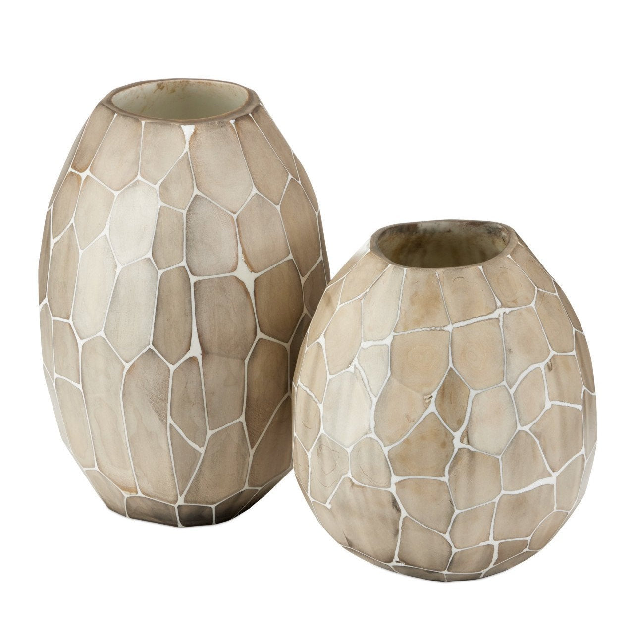 Runnell Hand Applied Glass Vase (Set of 2)