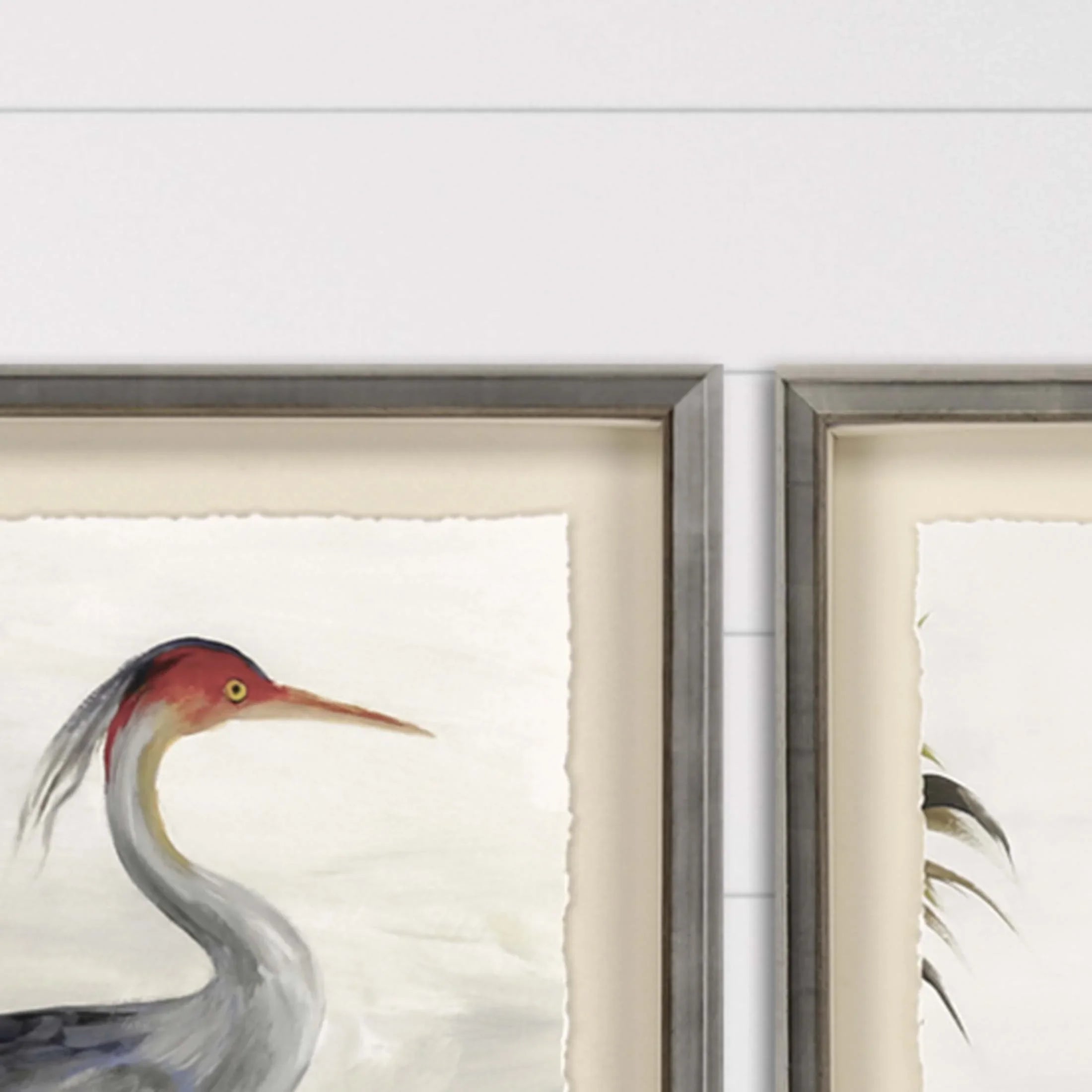 Grey Heron Study Wood Frame Canvas Art
