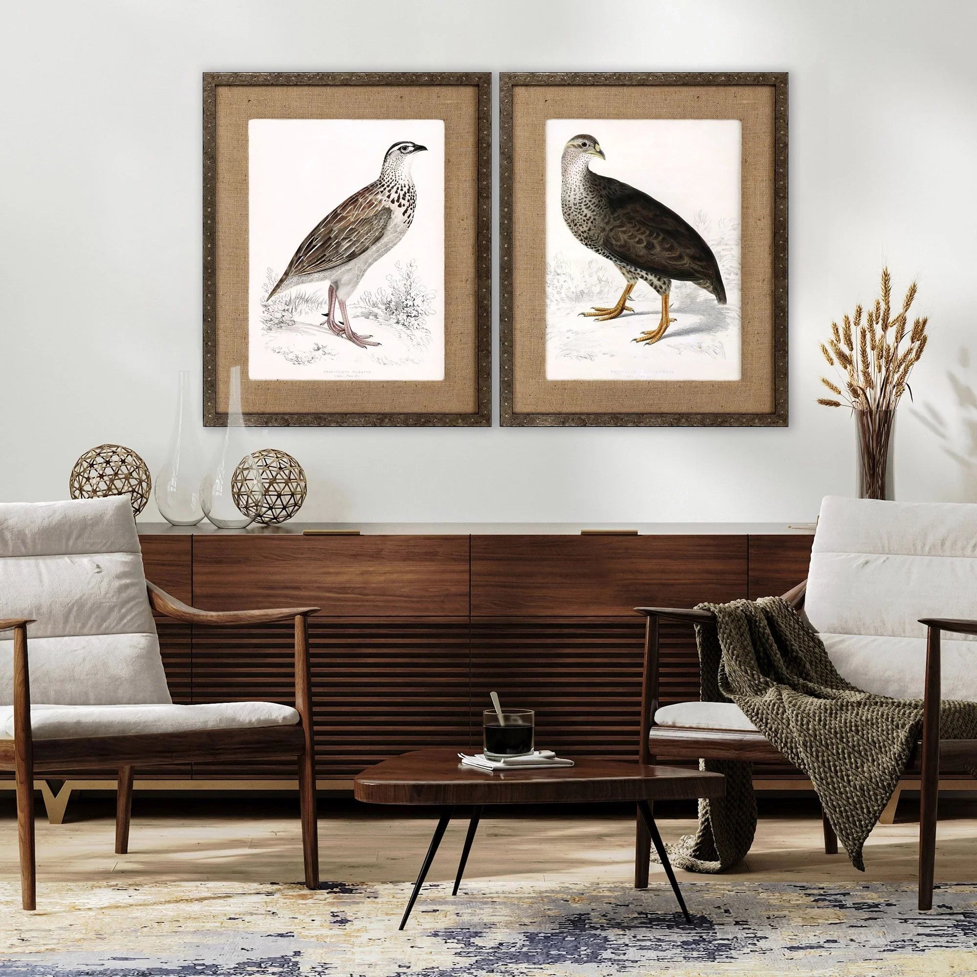 Francolinus Birds Wood Frame Brown Canvas Art 2PC