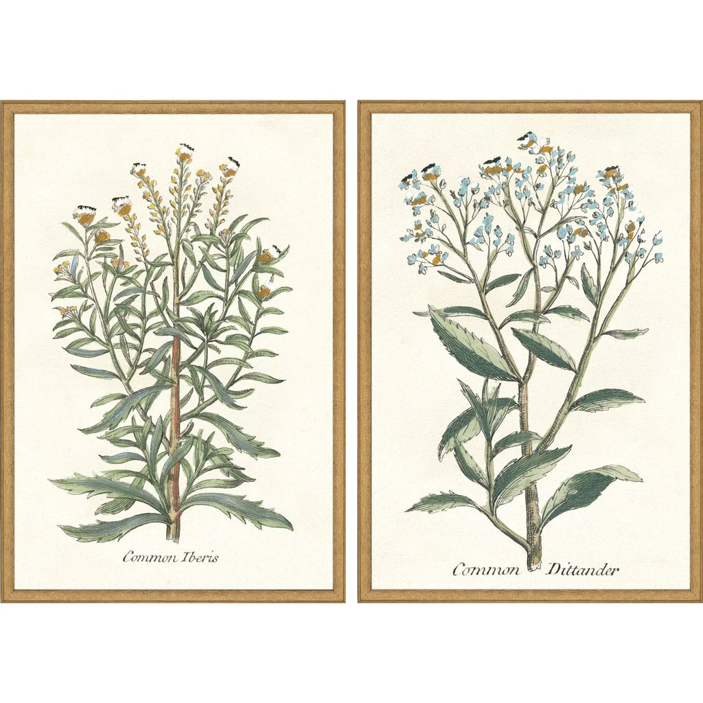 Botanical Plants Wood Frame Green Canvas Art 2PC