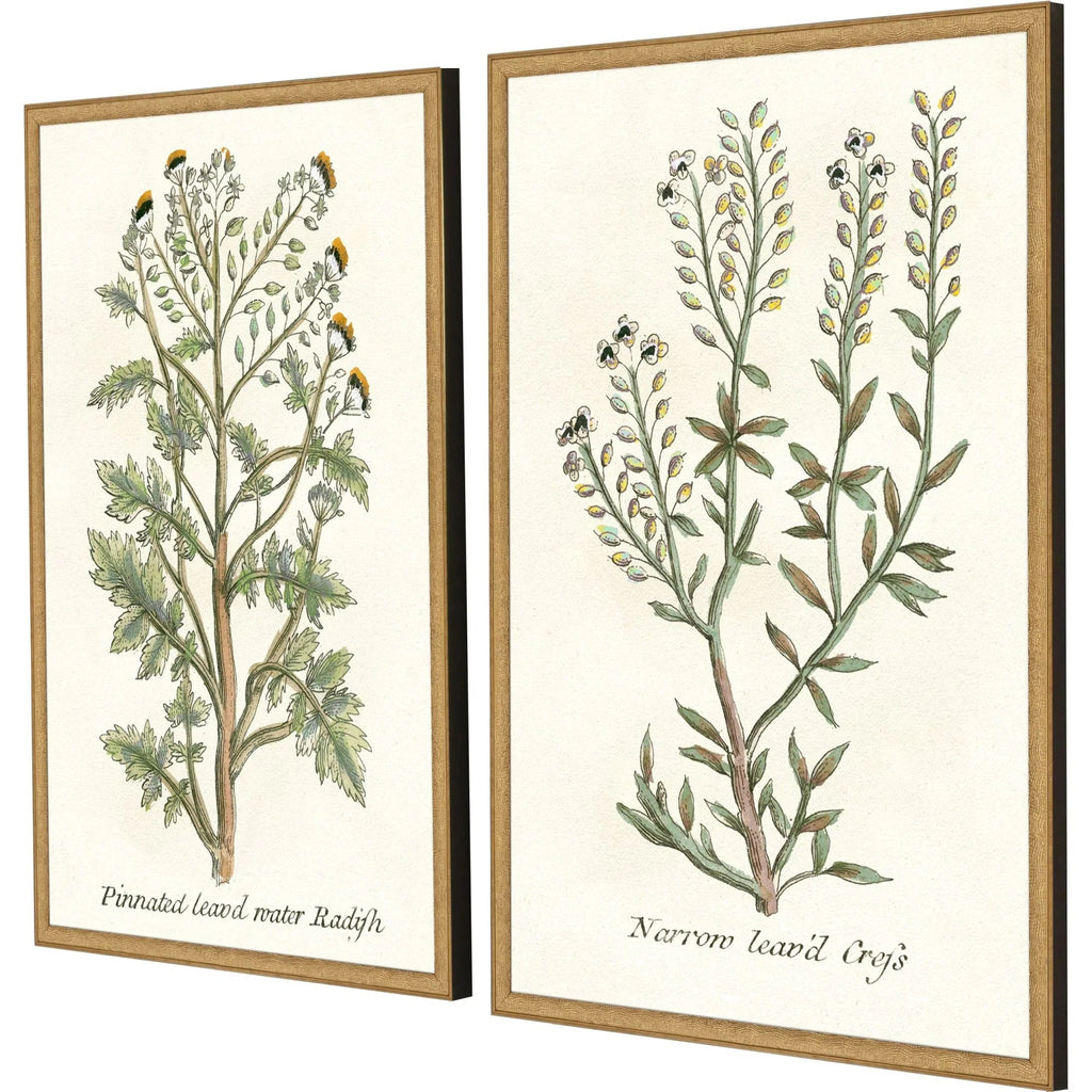 Botanical Plants Wood Frame Green Canvas Art 2PC